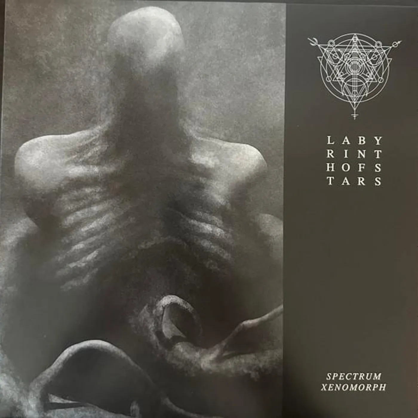 Labyrinth of Stars SPECTRUM XENOMORPH (GREEN VINYL) Vinyl Record