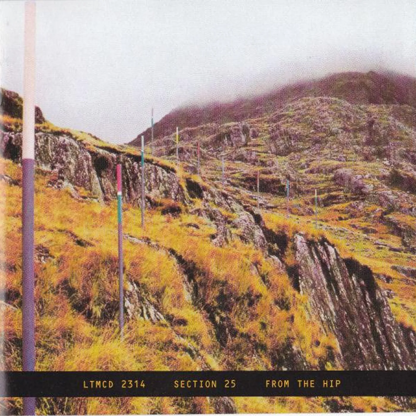 Section 25 FROM THE HIP CD