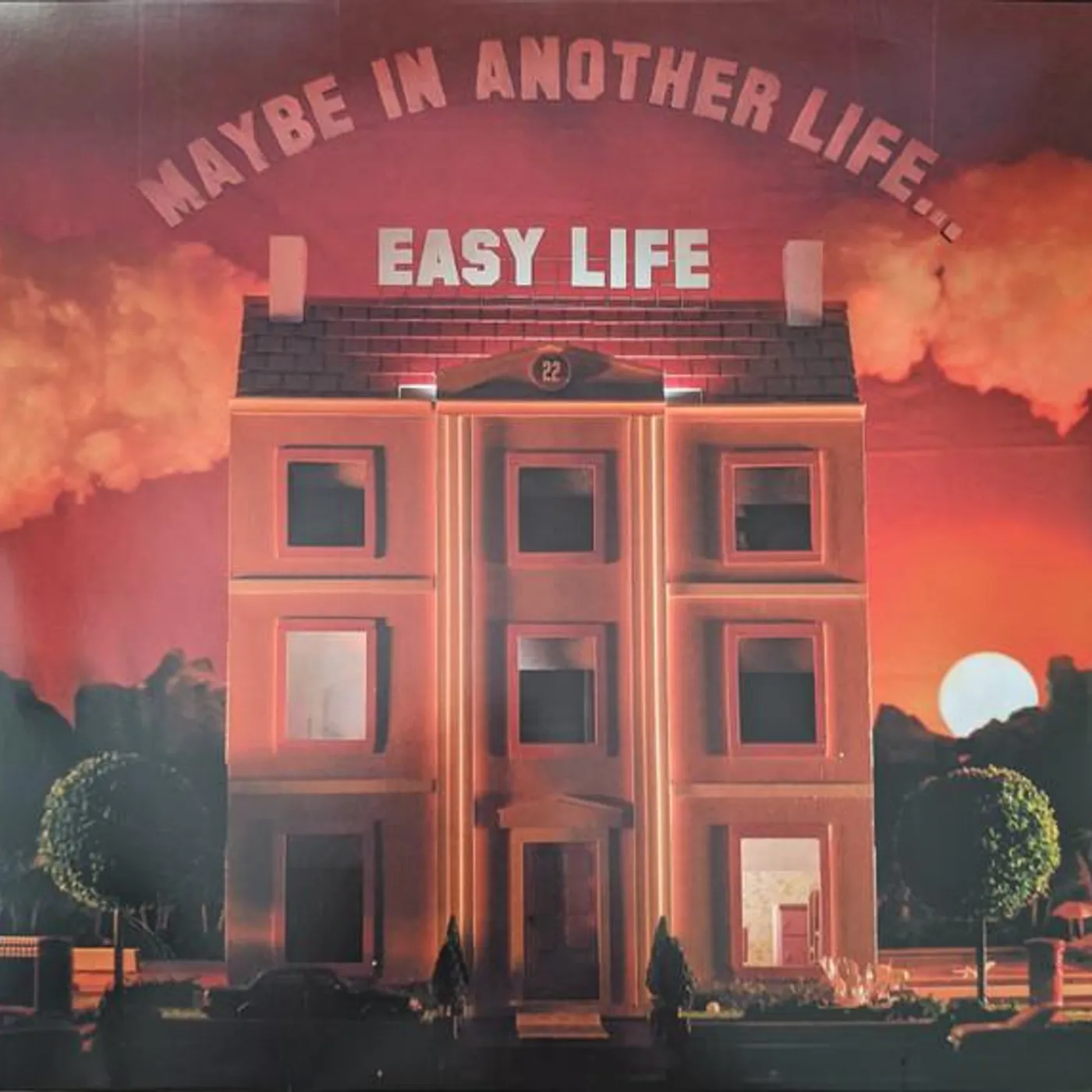 easy life MAYBE IN ANOTHER LIFE Vinyl Record