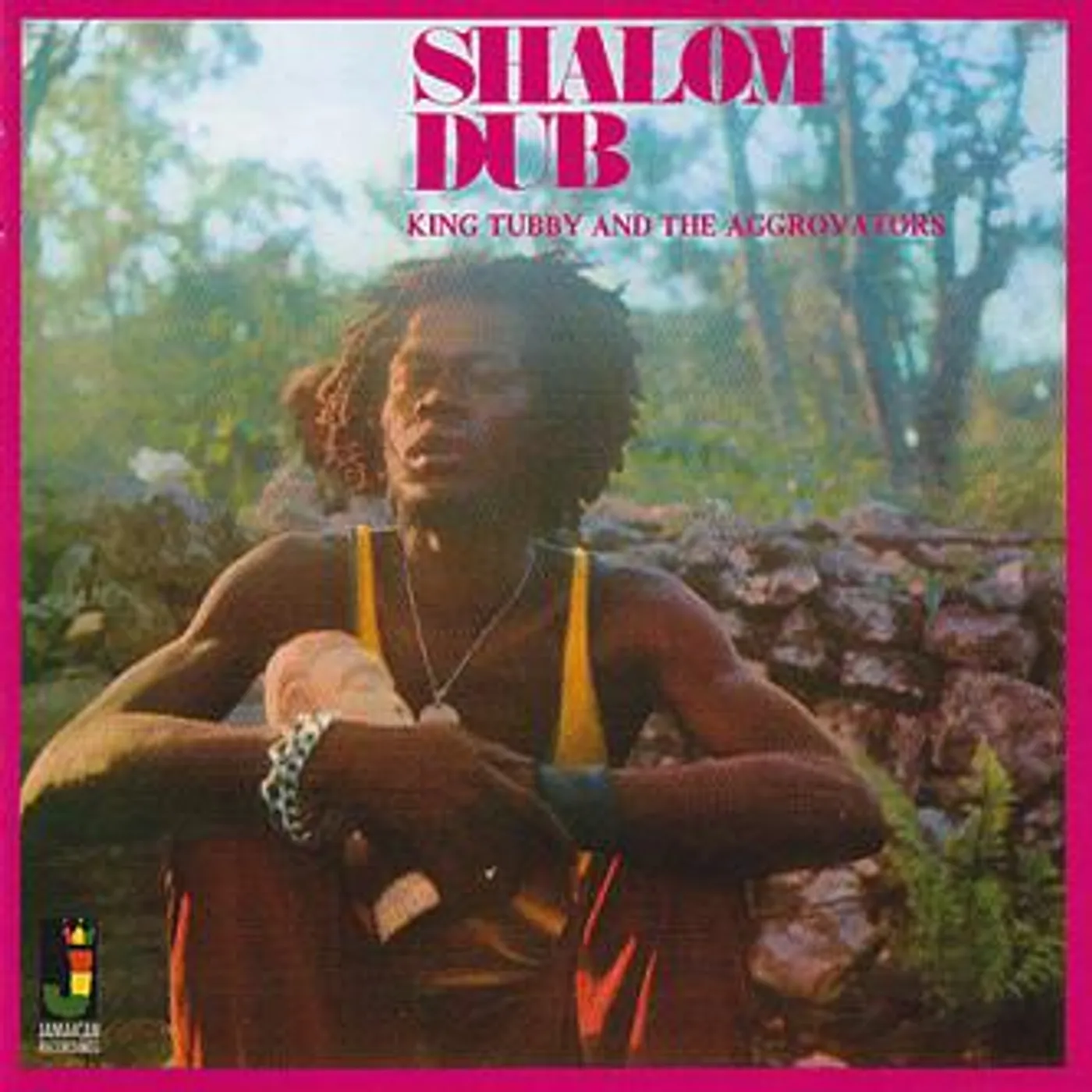 King Tubby & The Aggrovators Shalom Dub Vinyl Record