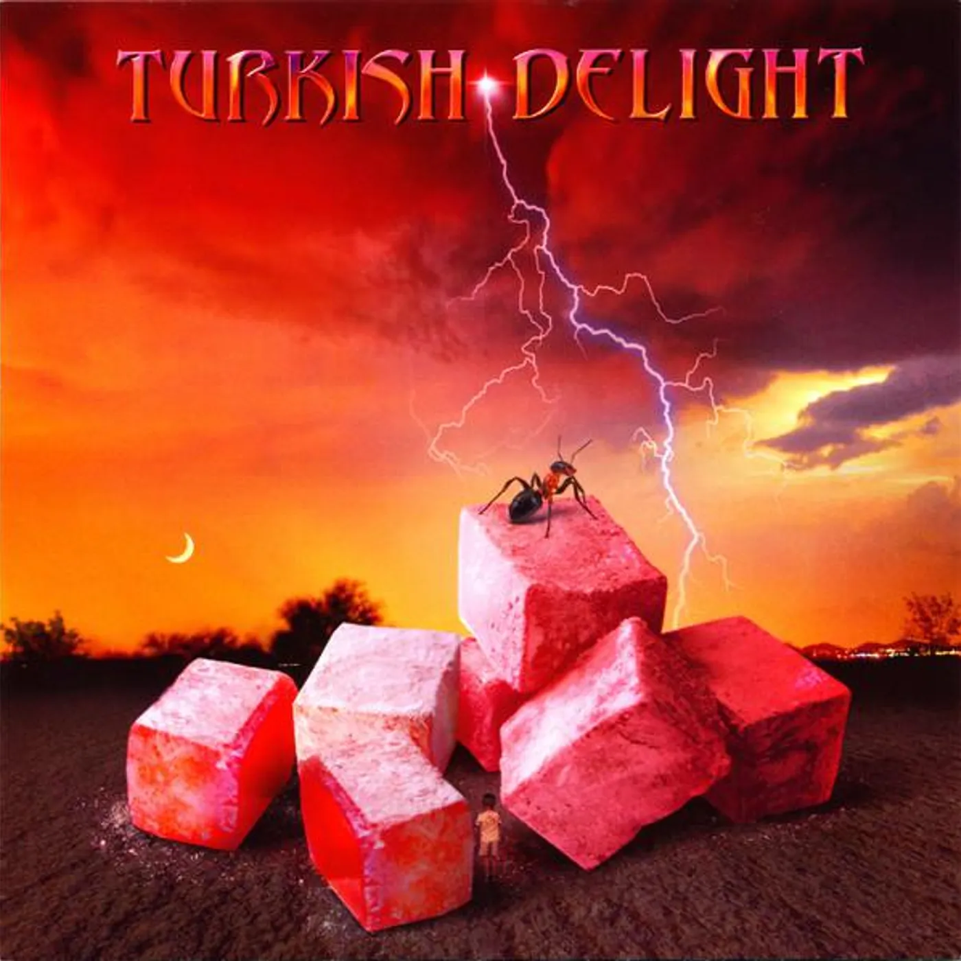 TURKISH DELIGHT VOLUME ONE CD