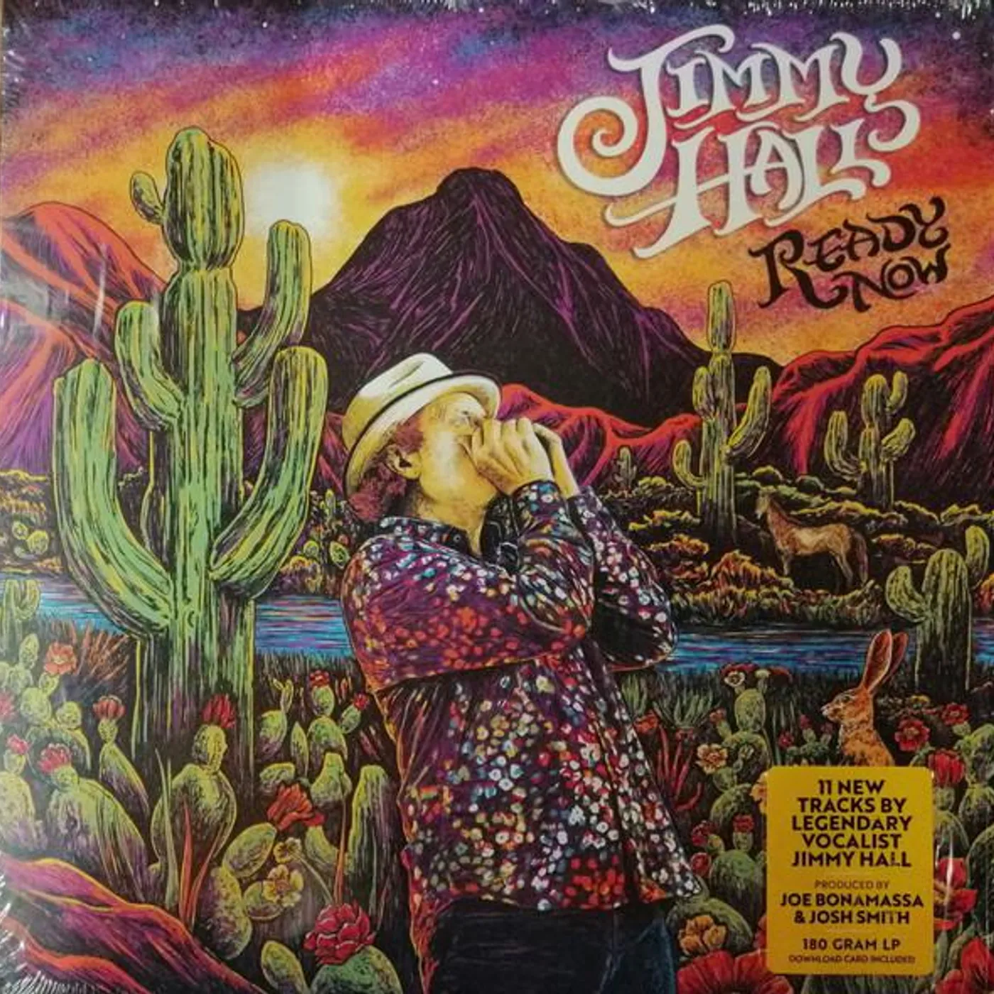 Jimmy Hall READY NOW Vinyl Record
