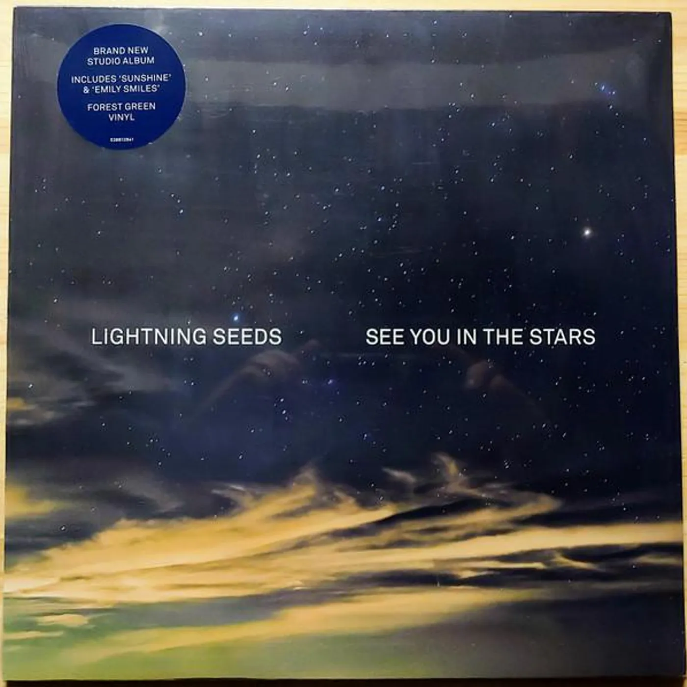 The Lightning Seeds See You in the Stars Vinyl Record