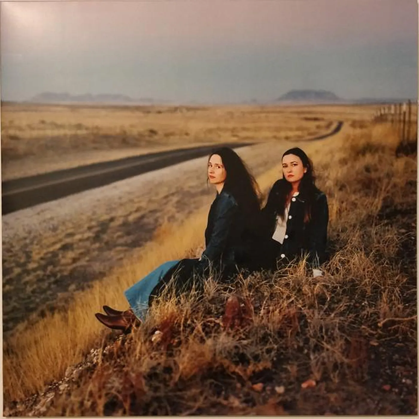 Plains I WALKED WITH YOU A WAYS Vinyl Record