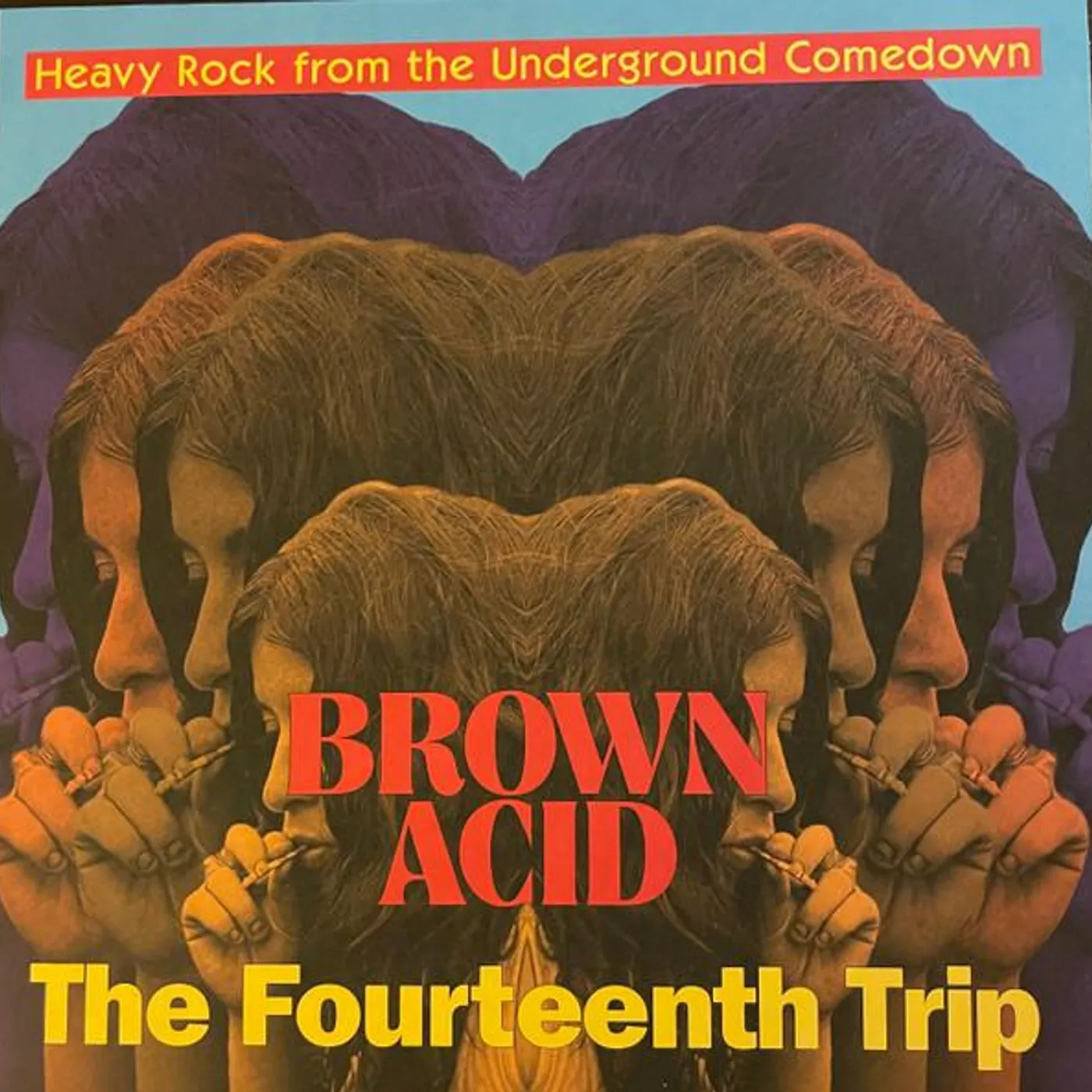 Various Artists  BROWN ACID: THE FOURTEENTH TRIP Vinyl Record