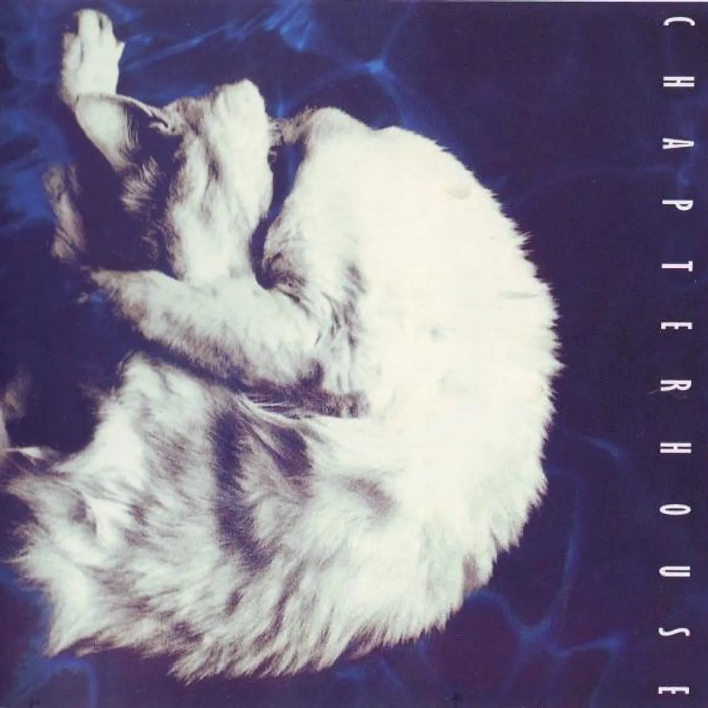 Chapterhouse WHIRLPOOL CD