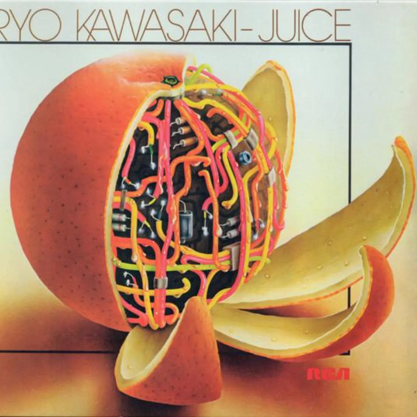 Ryo Kawasaki JUICE CD