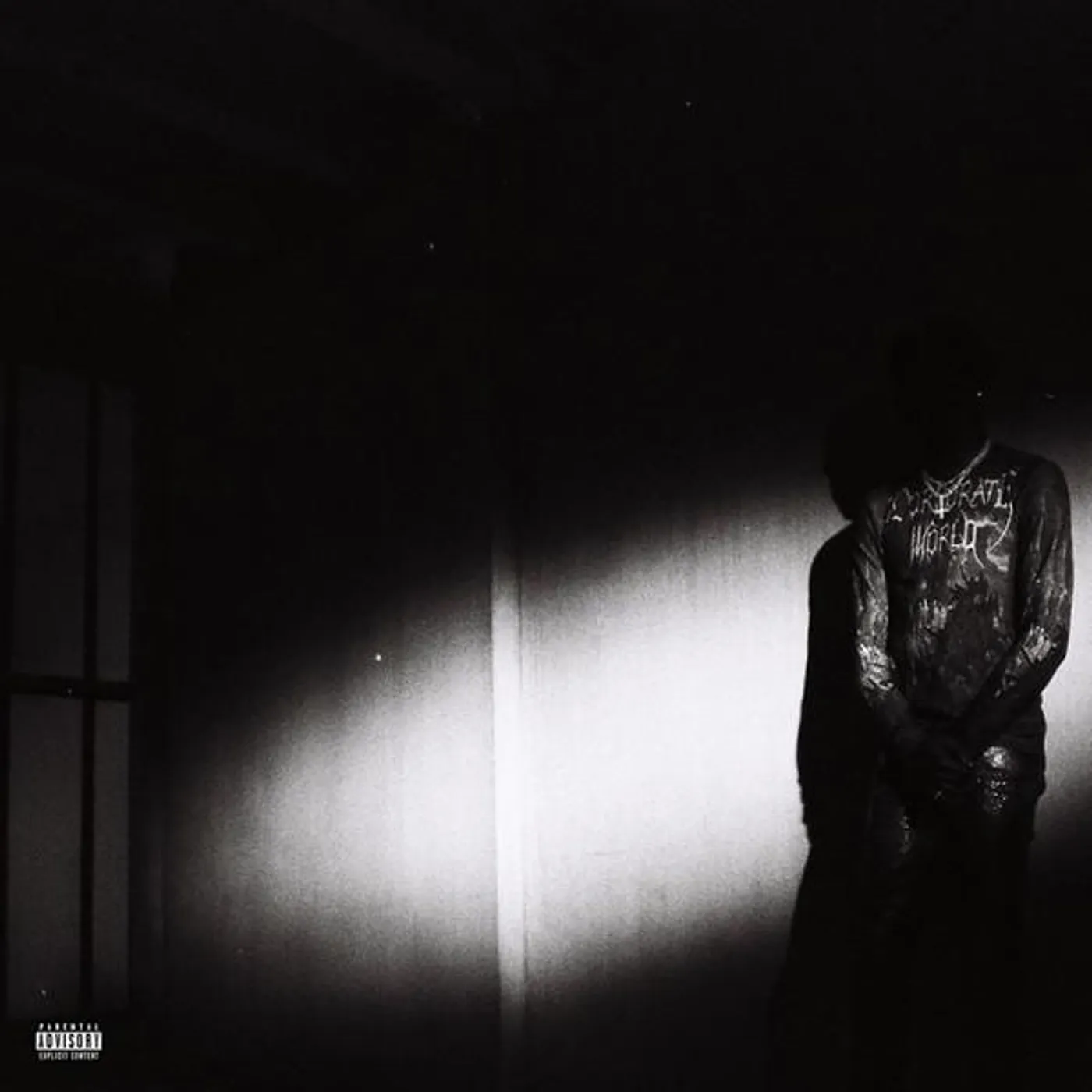 Destroy Lonely NO STYLIST Vinyl Record