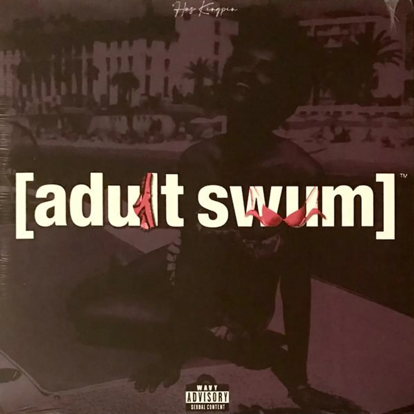 Hus KingPin ADULT SWIM Vinyl Record