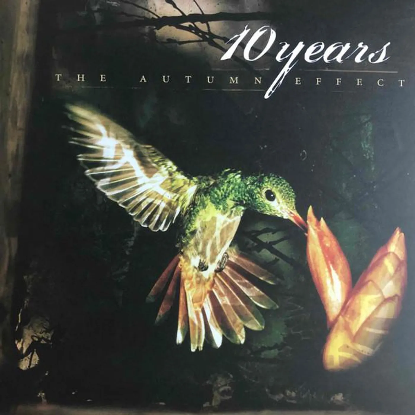 10 Years AUTUMN EFFECT (180G) Vinyl Record