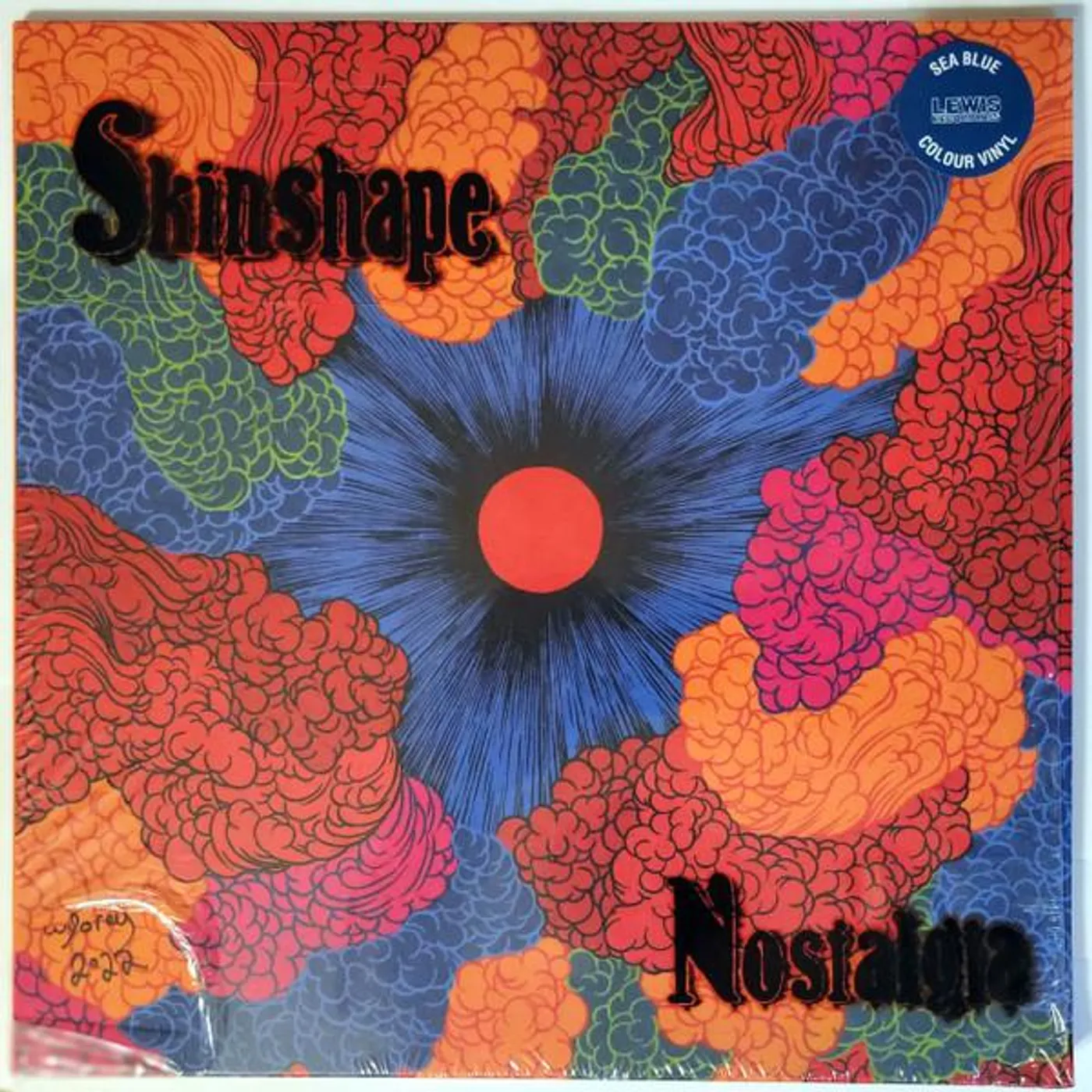 Skinshape Nostalgia Vinyl Record