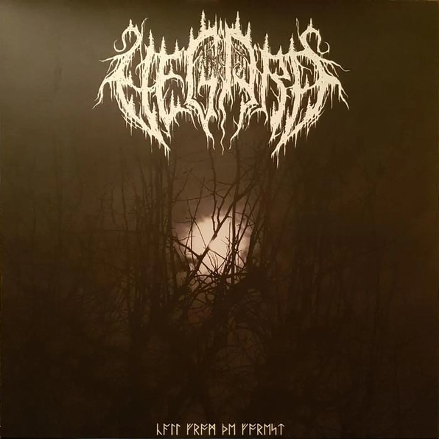 Vegard CALL FROM THE FOREST CD