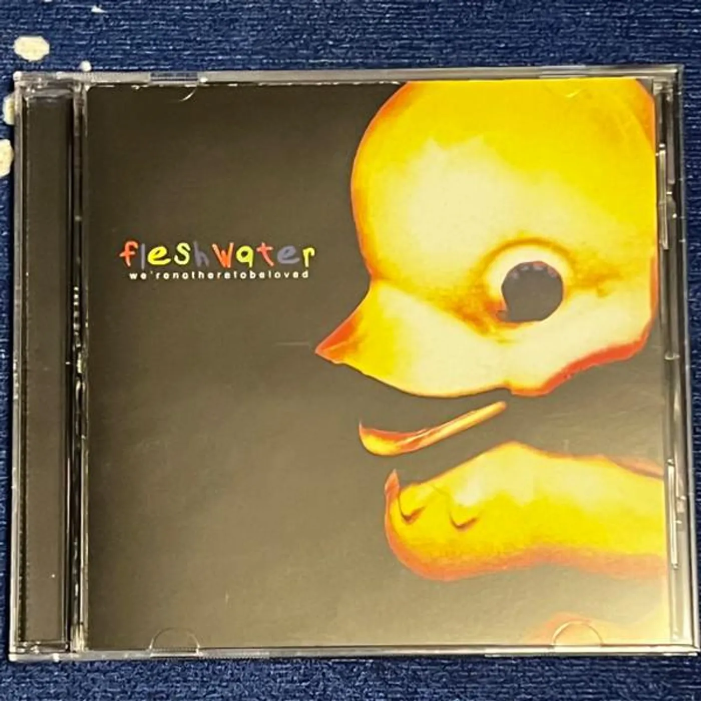 Fleshwater WE'RE NOT HERE TO BE LOVED CD