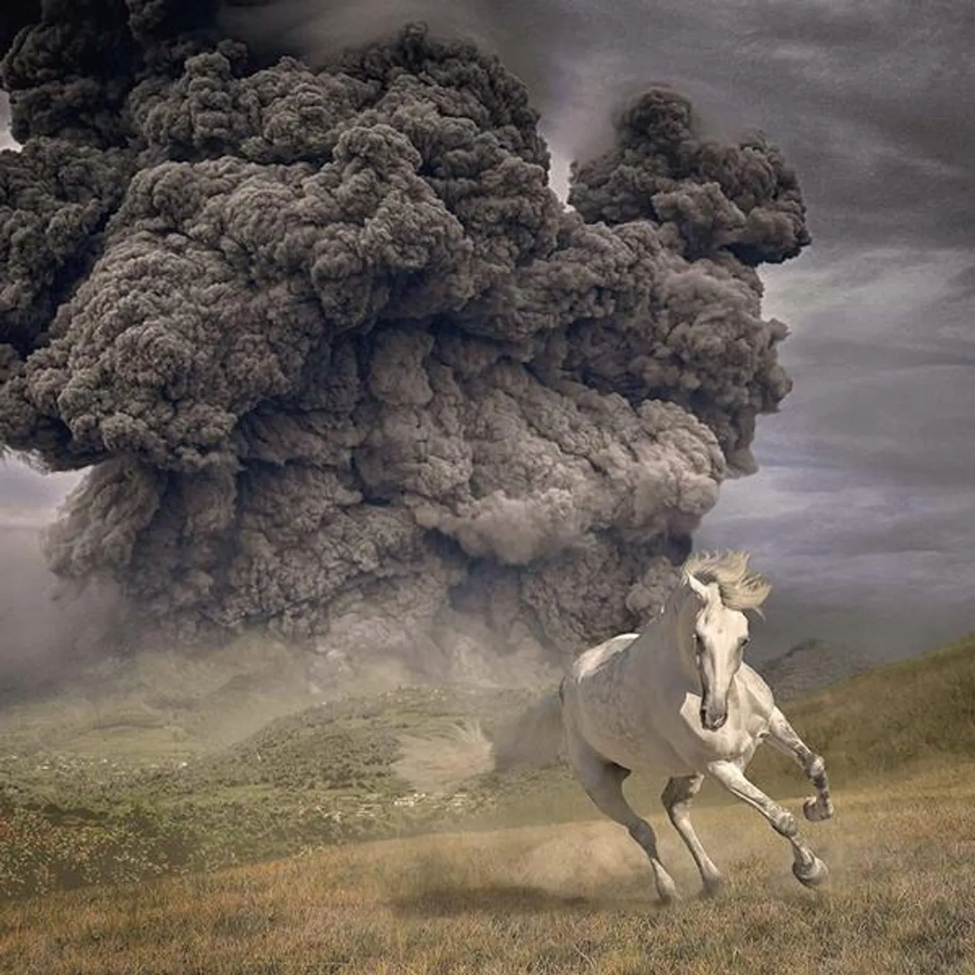 The White Buffalo Year Of The Dark Horse Vinyl Record