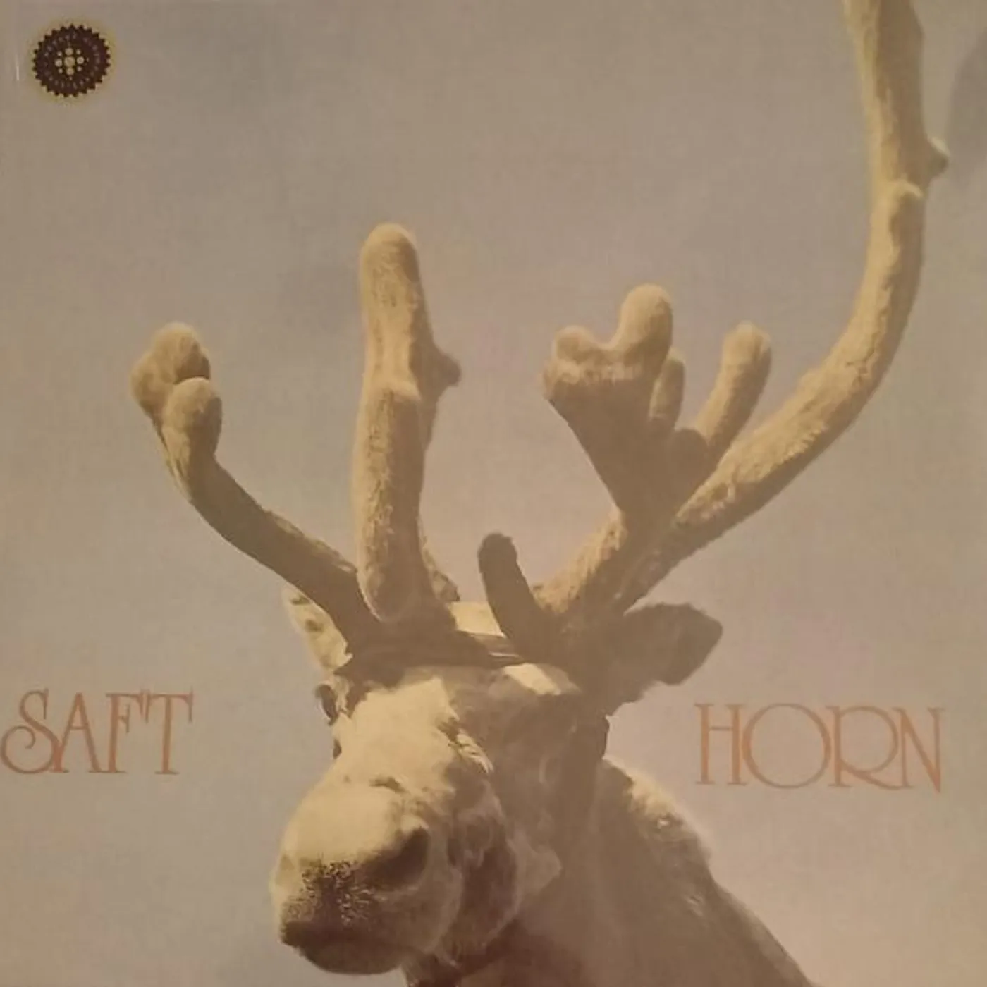 Saft HORN Vinyl Record