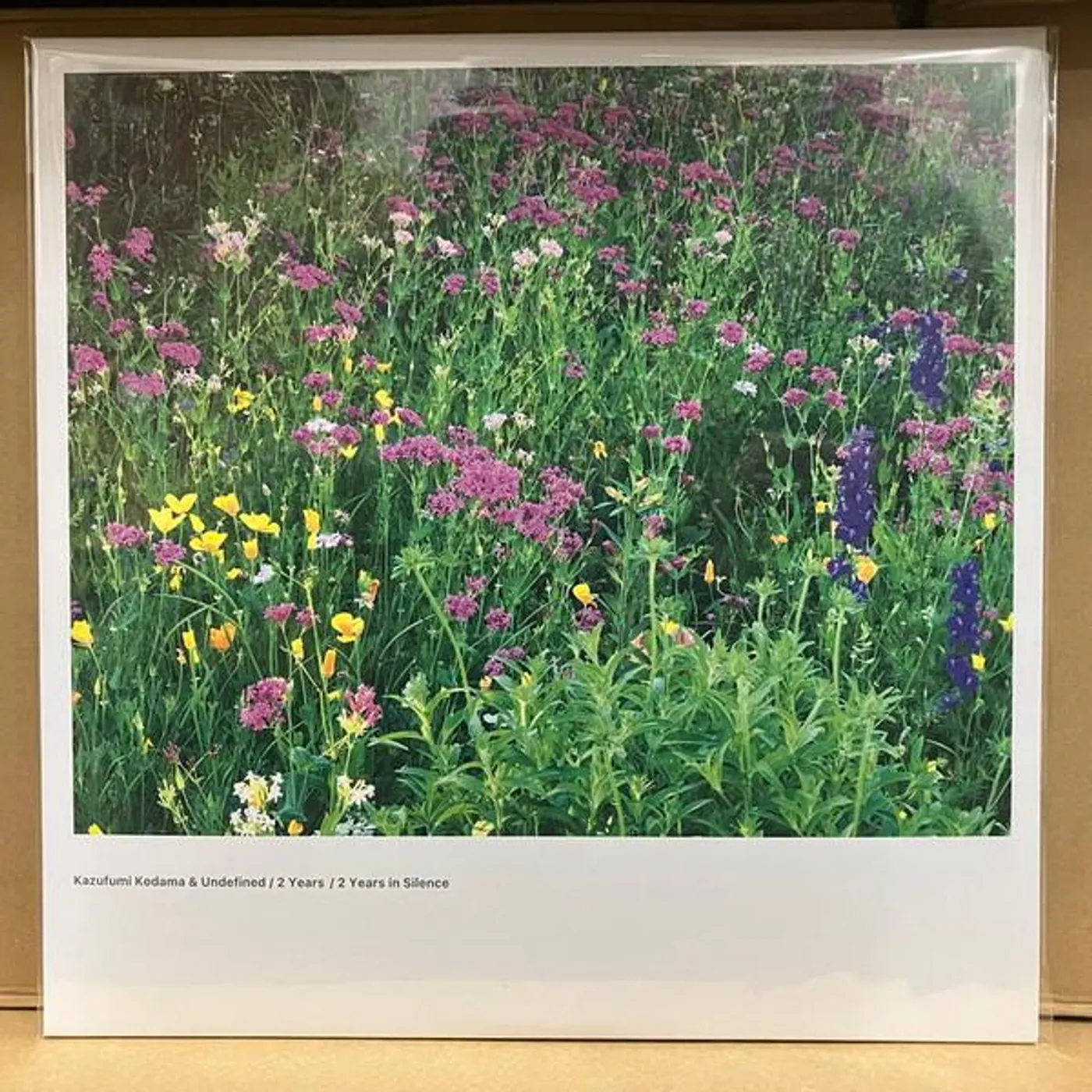 Kazufumi Kodama & Undefined 2 YEARS / 2 YEARS IN SILENCE Vinyl Record