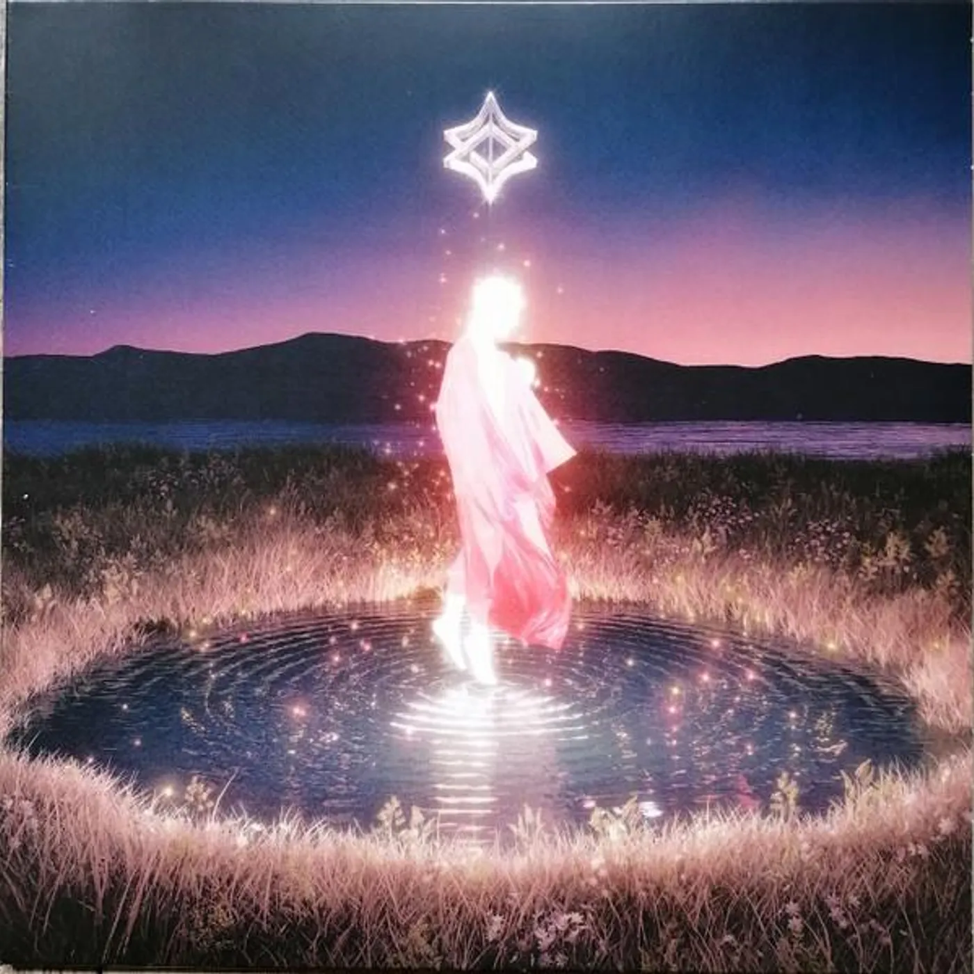 Invent Animate Heavener Vinyl Record