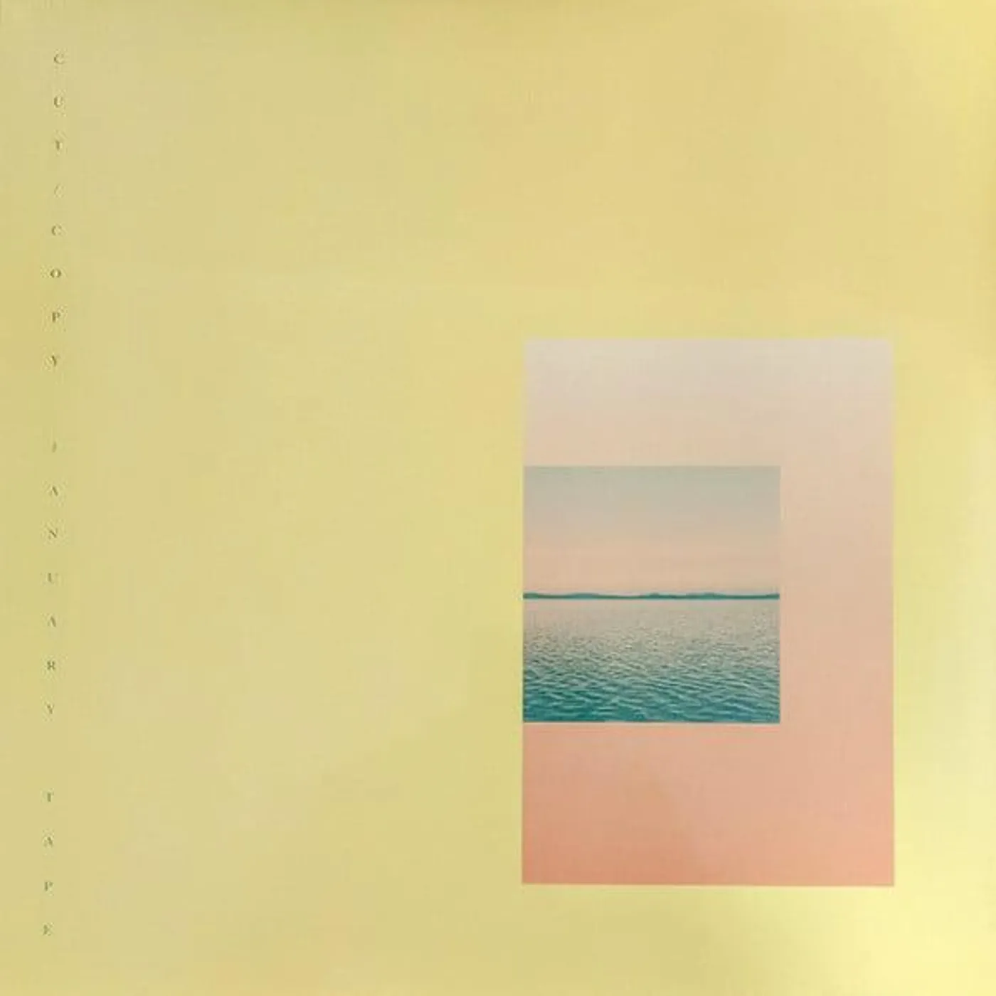 Cut Copy January Tape Vinyl Record