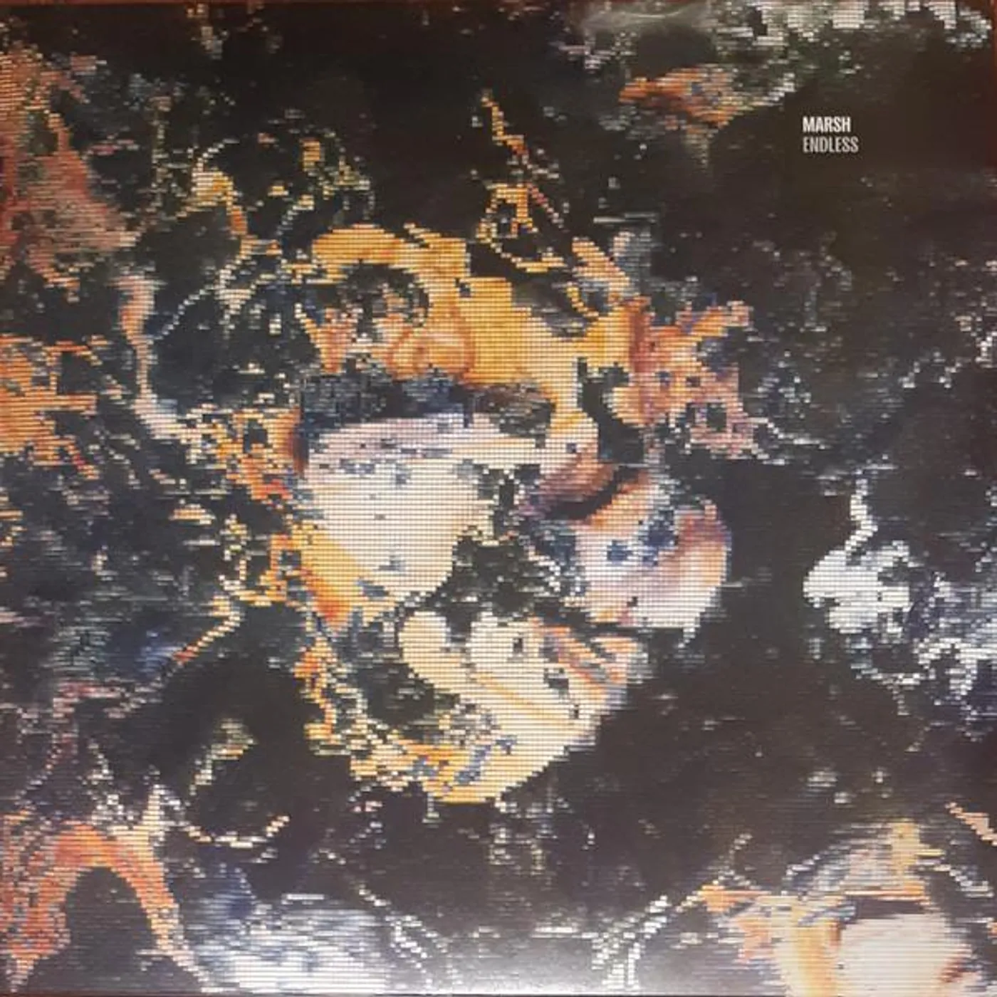 Marsh ENDLESS (2LP) Vinyl Record