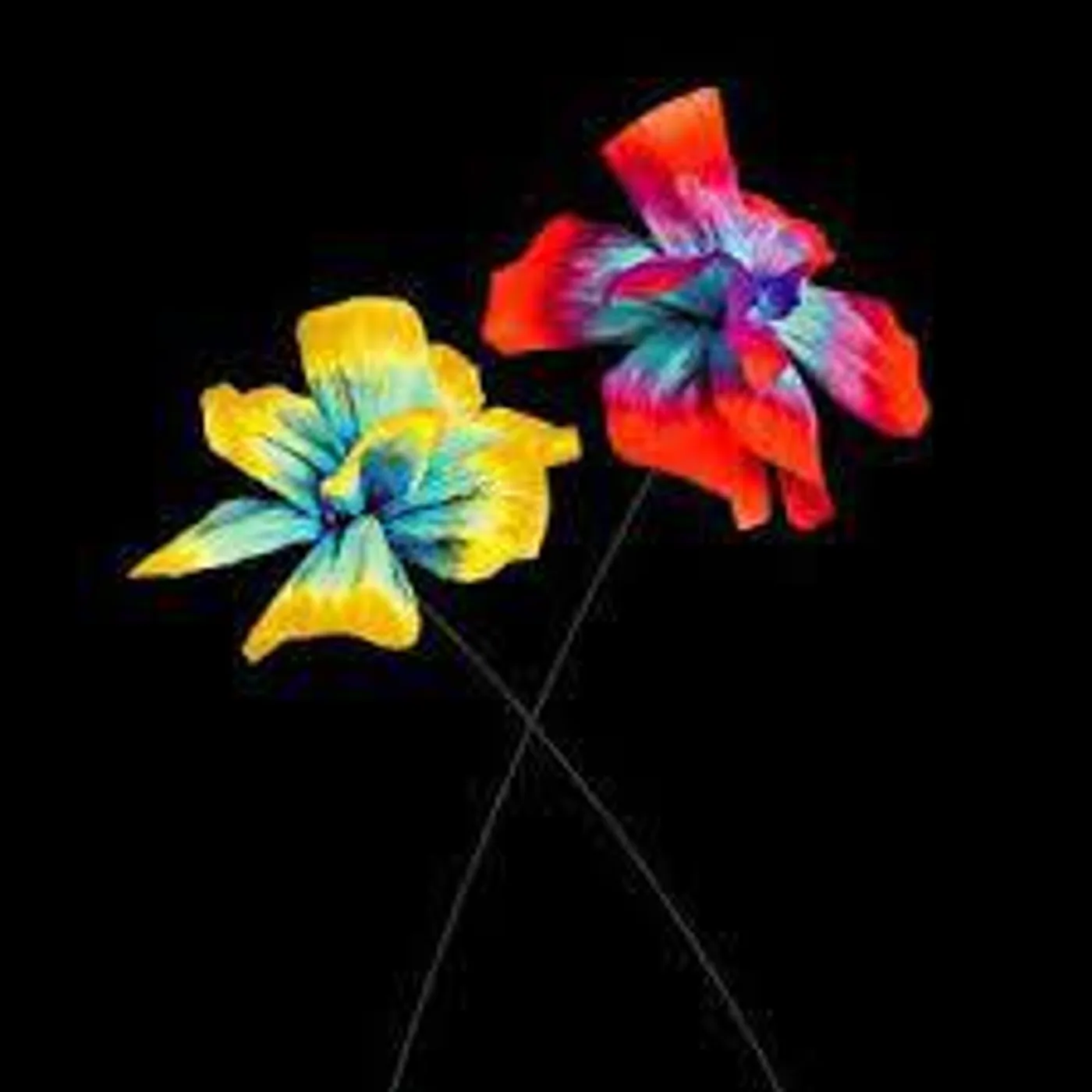 Diodato COSI' SPECIALE CD