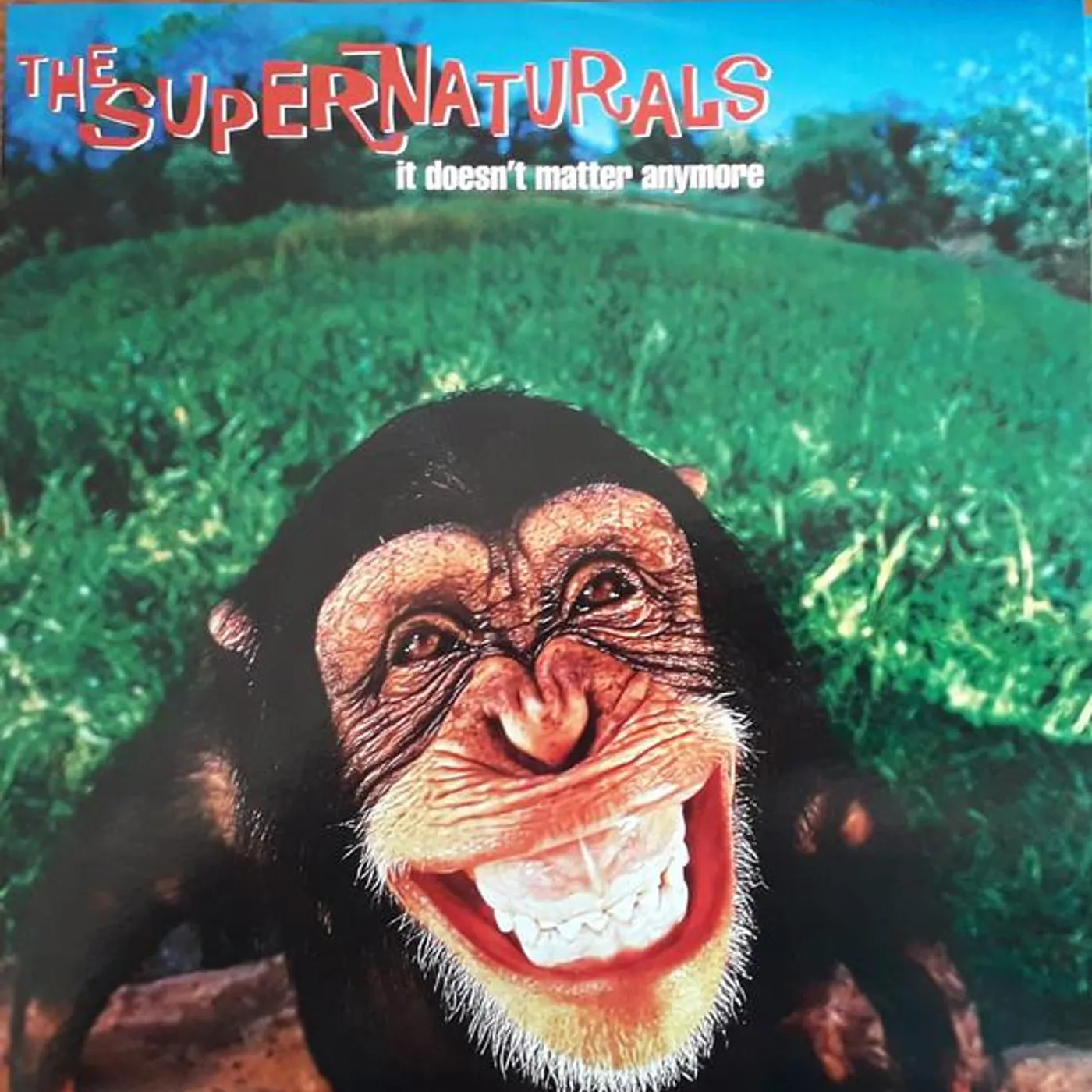 The Supernaturals IT DOESN'T MATTER ANYMORE Vinyl Record