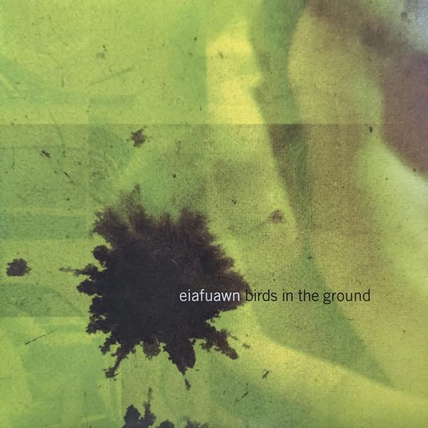 Eiafuawn BIRDS IN THE GROUND (BUNNY WHITE VINYL) Vinyl Record