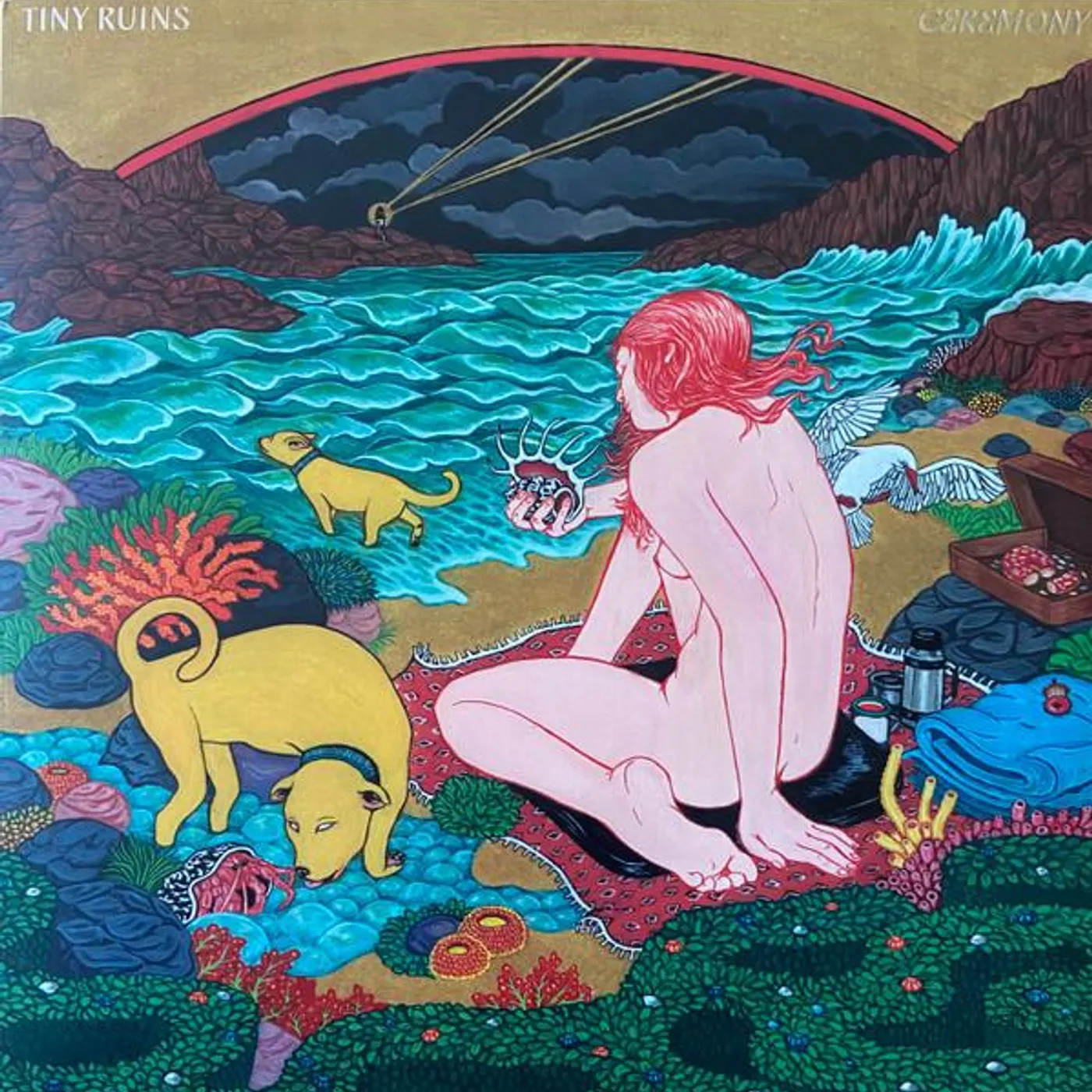 Tiny Ruins CEREMONY Vinyl Record