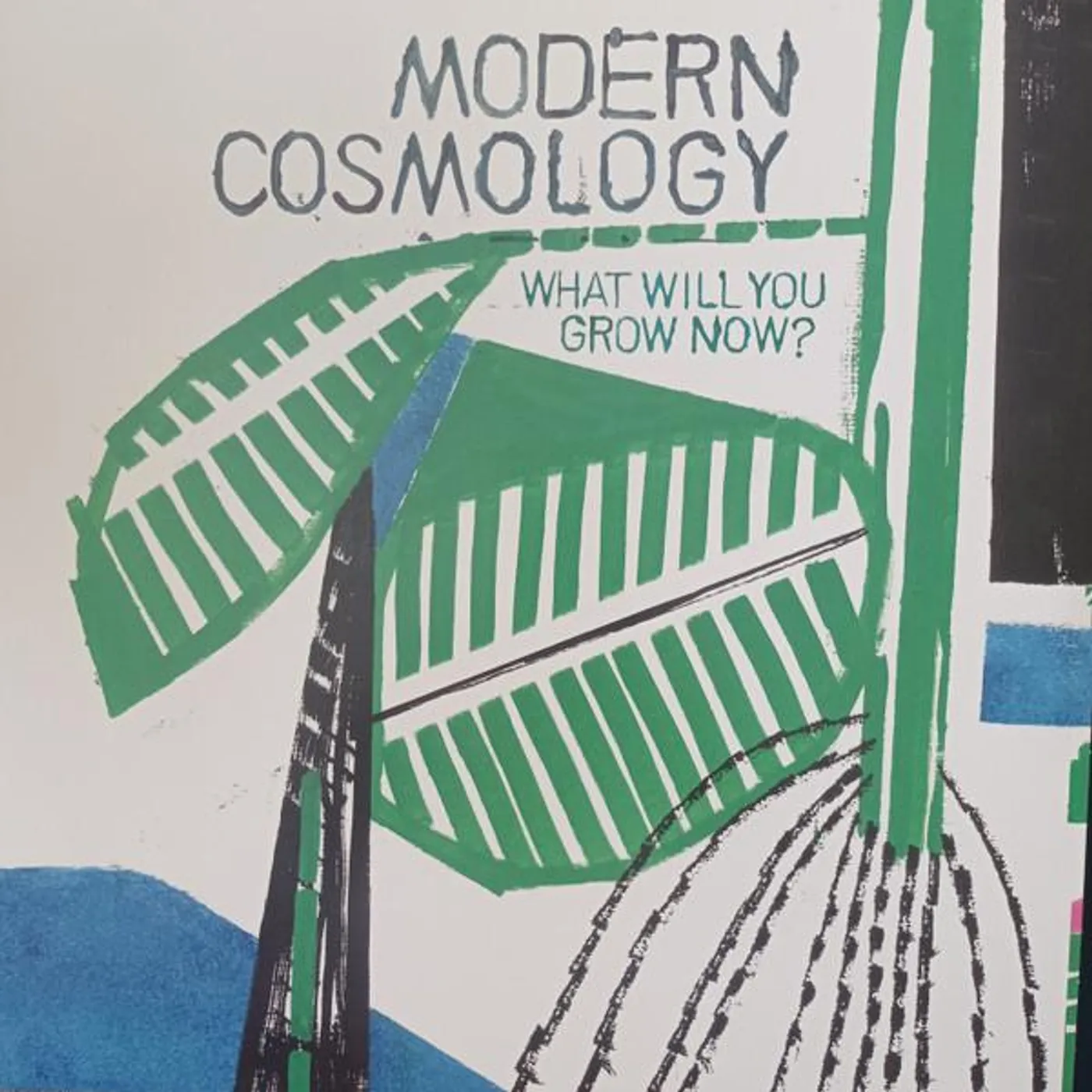 Modern Cosmology WHAT WILL YOU GROW NOW? (IMPORT) Vinyl Record