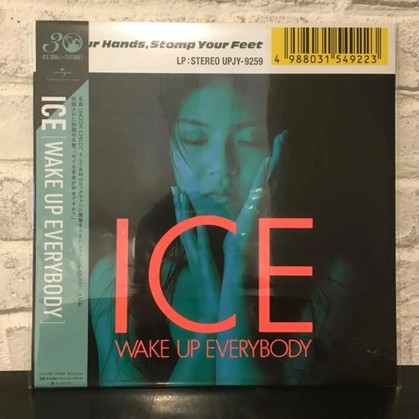 Ice WAKE UP EVERYBODY Vinyl Record