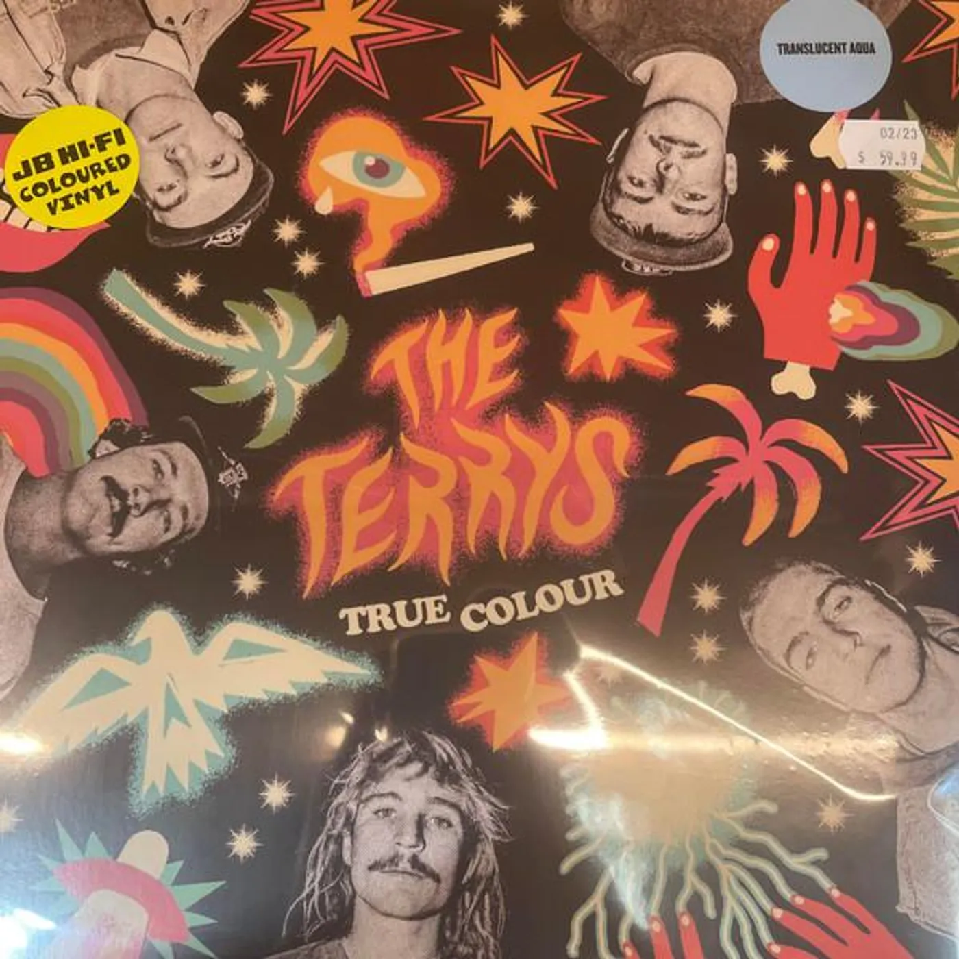 The Terrys TRUE COLOUR Vinyl Record