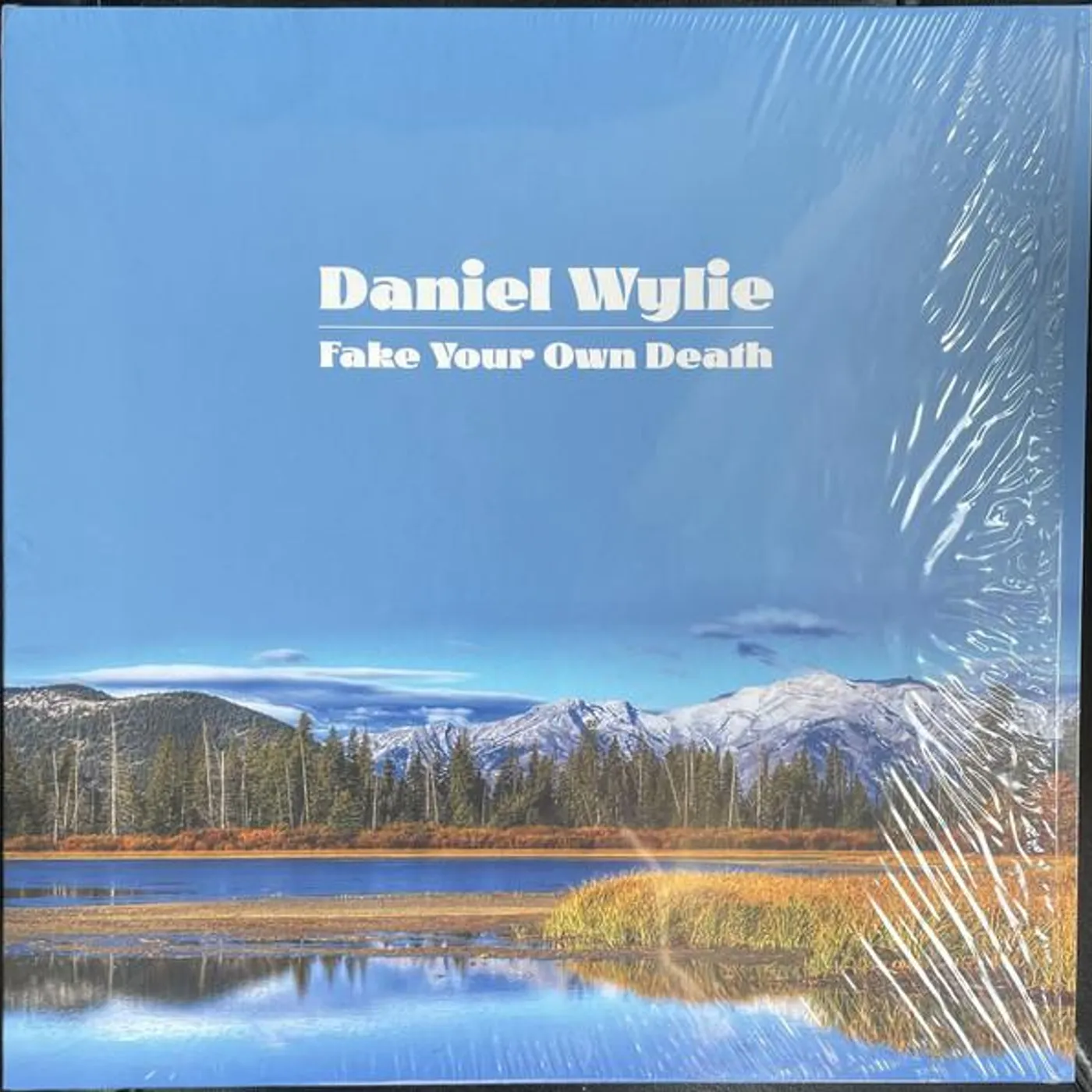 Daniel Wylie FAKE YOUR OWN DEATH Vinyl Record