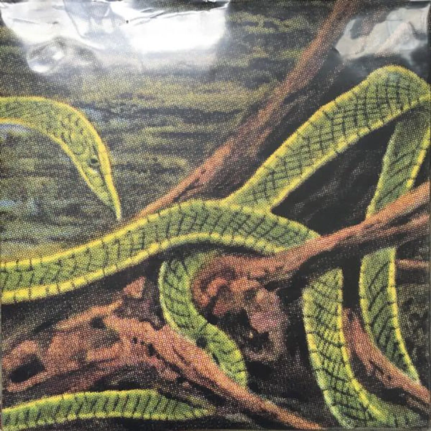 Rainforest Spiritual Enslavement Green Graves (Galaxy Green Vinyl/3lp) Vinyl Record