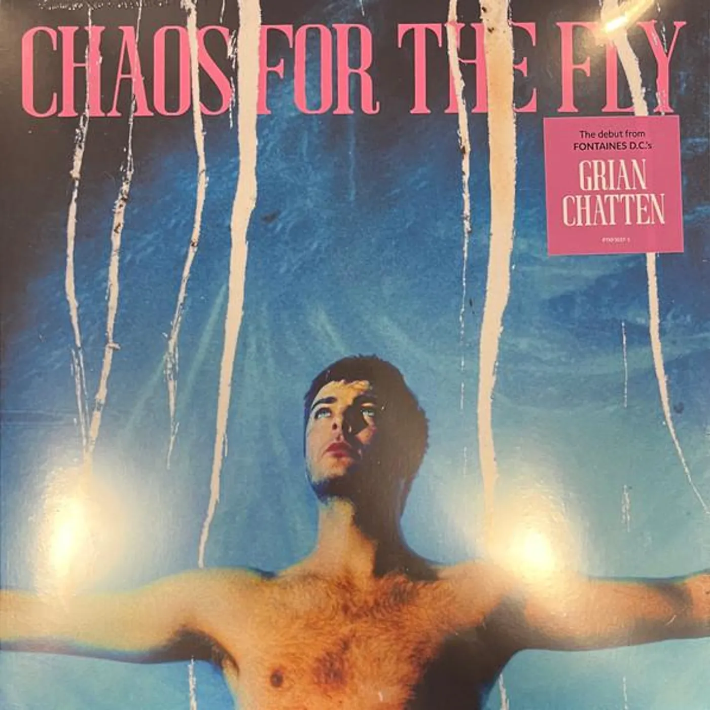 Grian Chatten Chaos For The Fly Vinyl Record