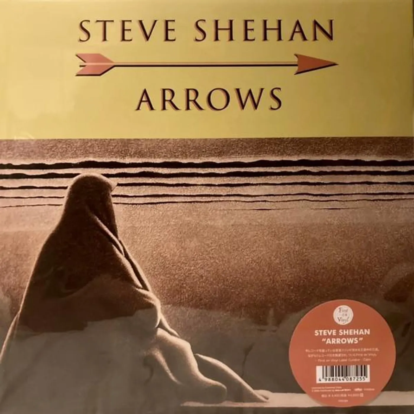 Steve Shehan ARROWS Vinyl Record