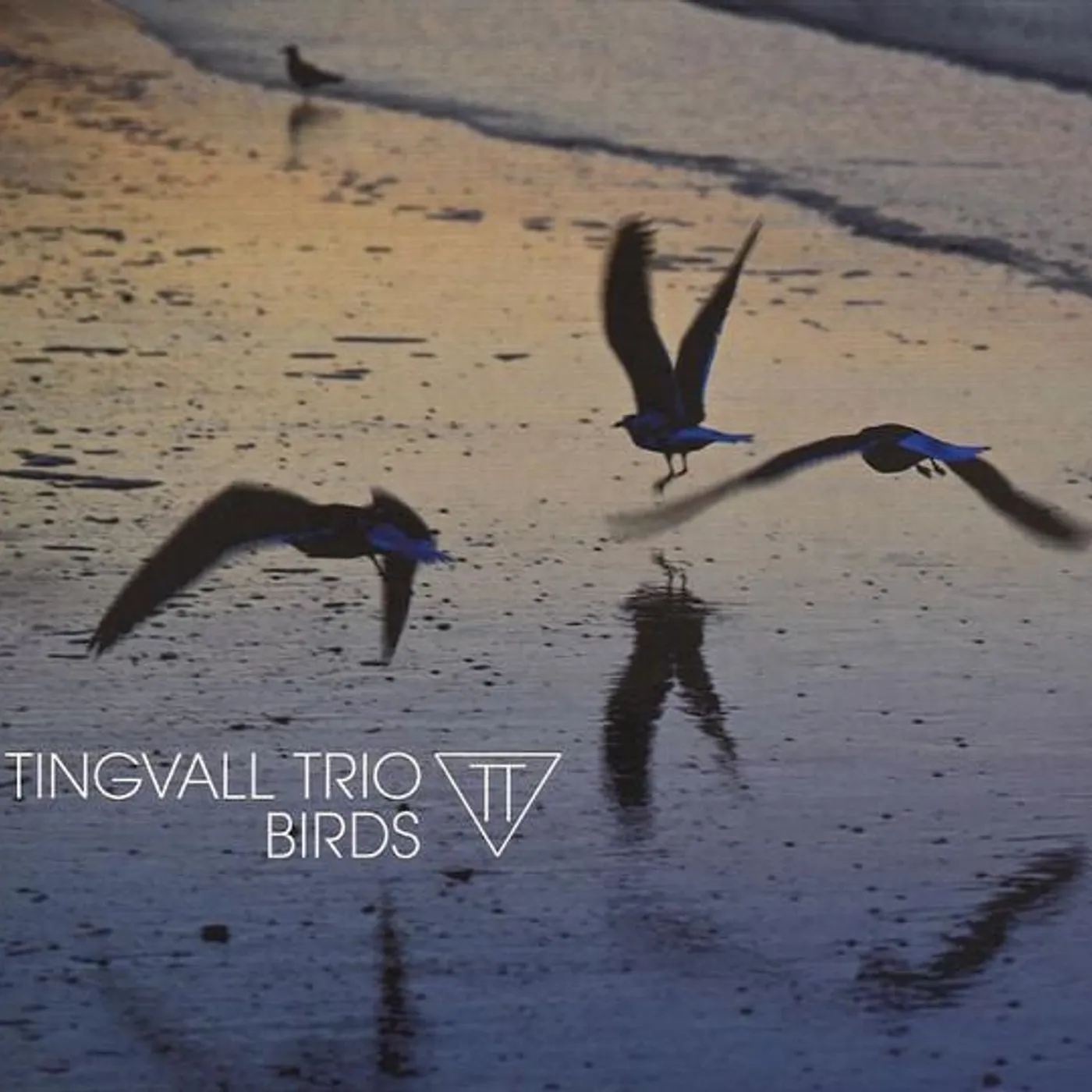 Tingvall Trio BIRDS CD