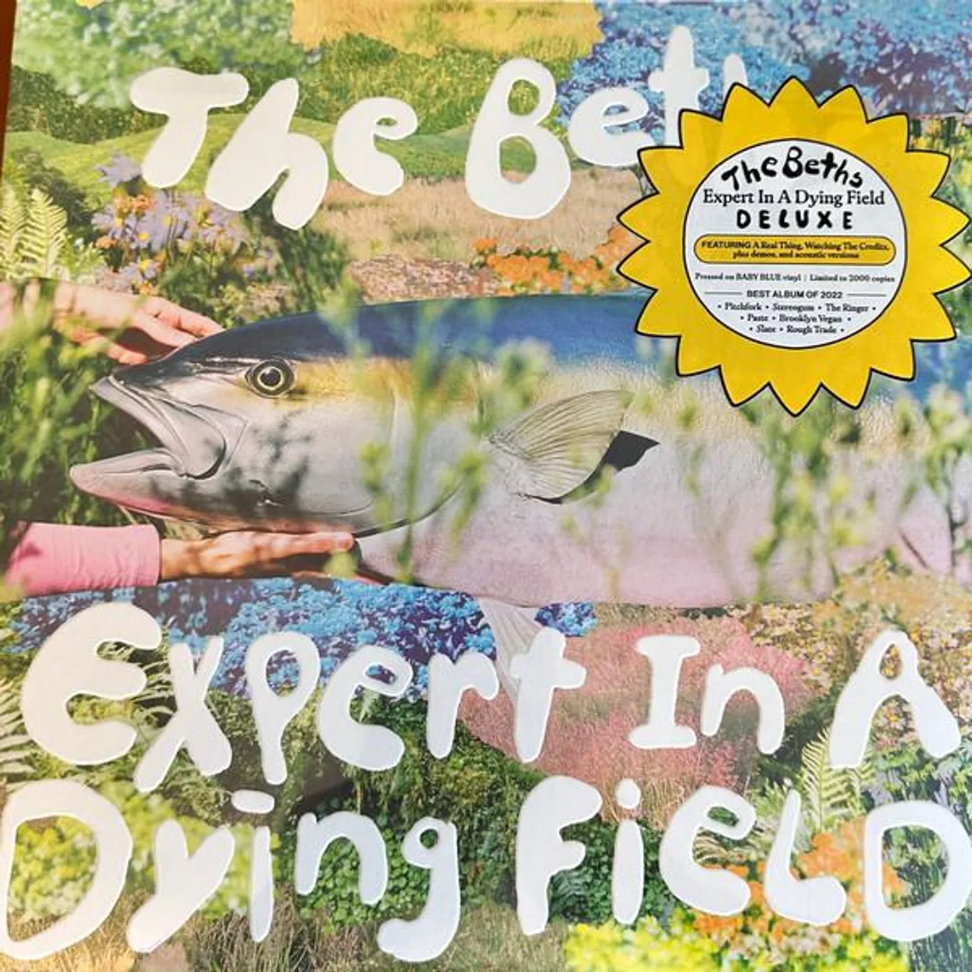 The Beths Expert In A Dying Field (Deluxe Edition/Baby Blue Vinyl/2LP) Vinyl Record