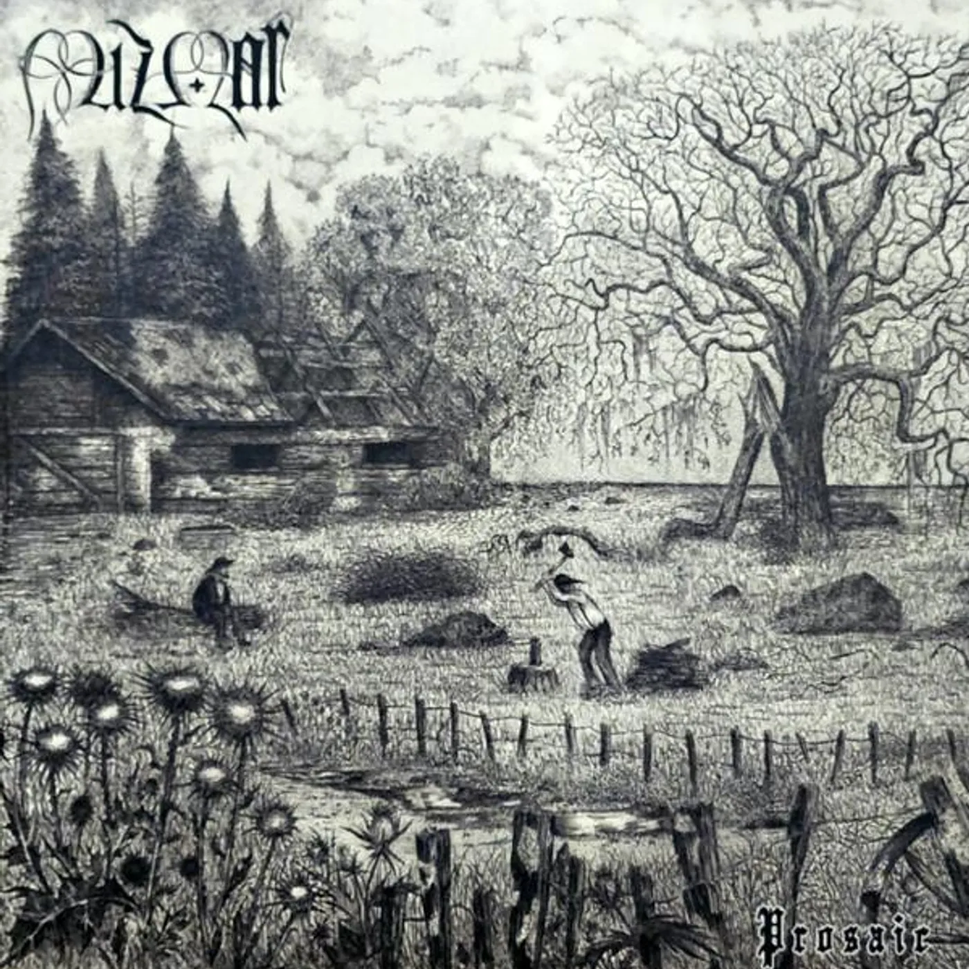 Mizmor PROSAIC CD