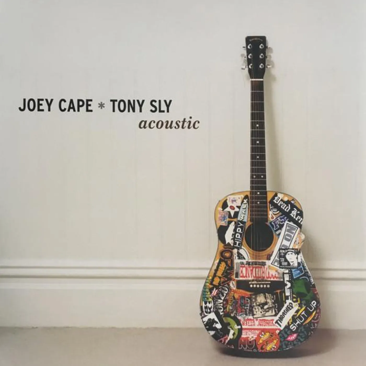 Joey Cape / Tony Sly ACOUSTIC Vinyl Record