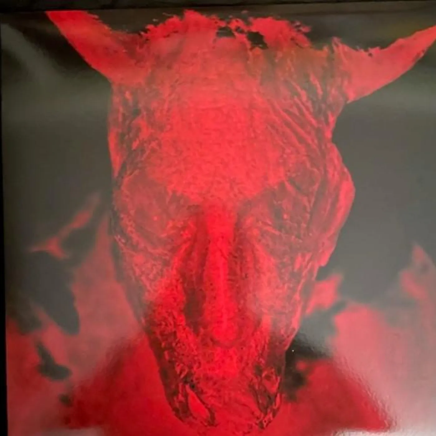 Diamanda Galás BROKEN GARGOYLES Vinyl Record