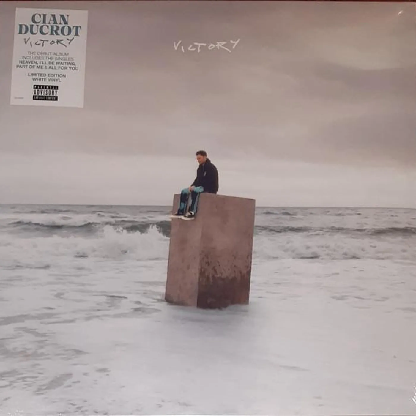 Cian Ducrot VICTORY Vinyl Record