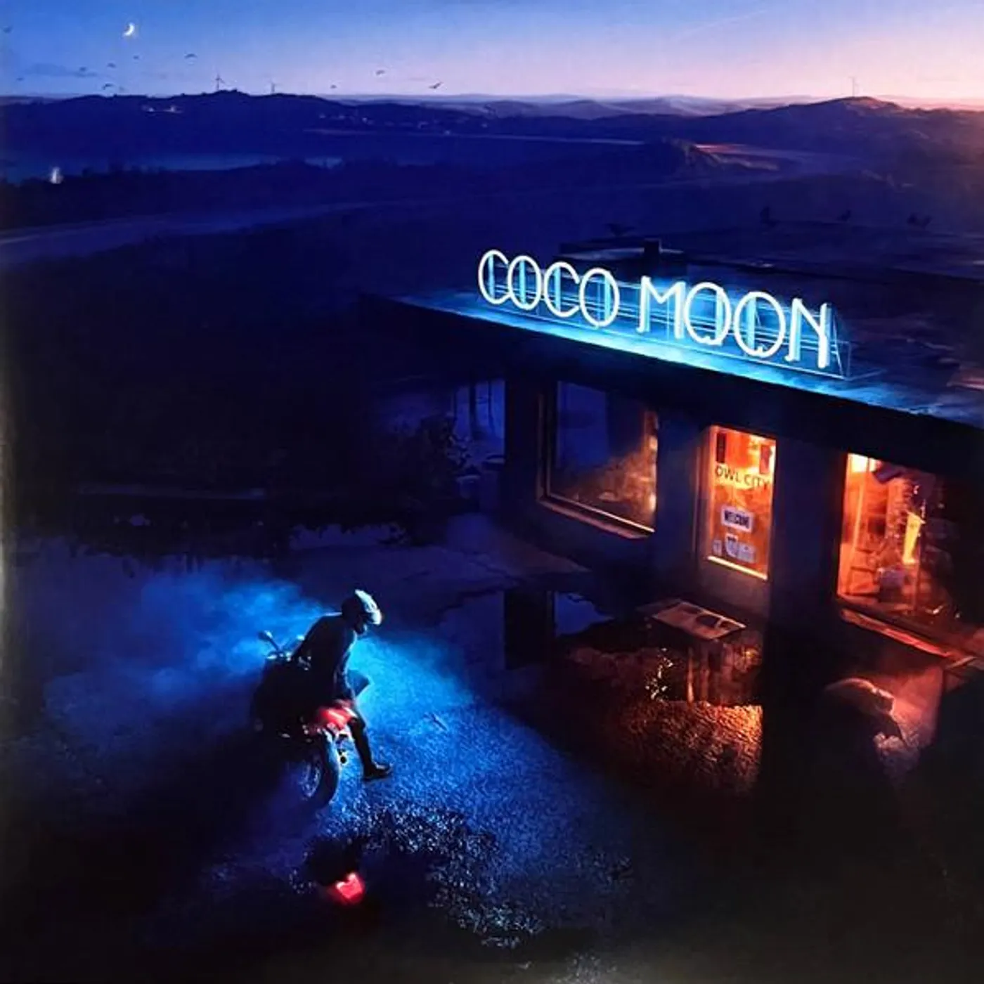 Owl City COCO MOON Vinyl Record