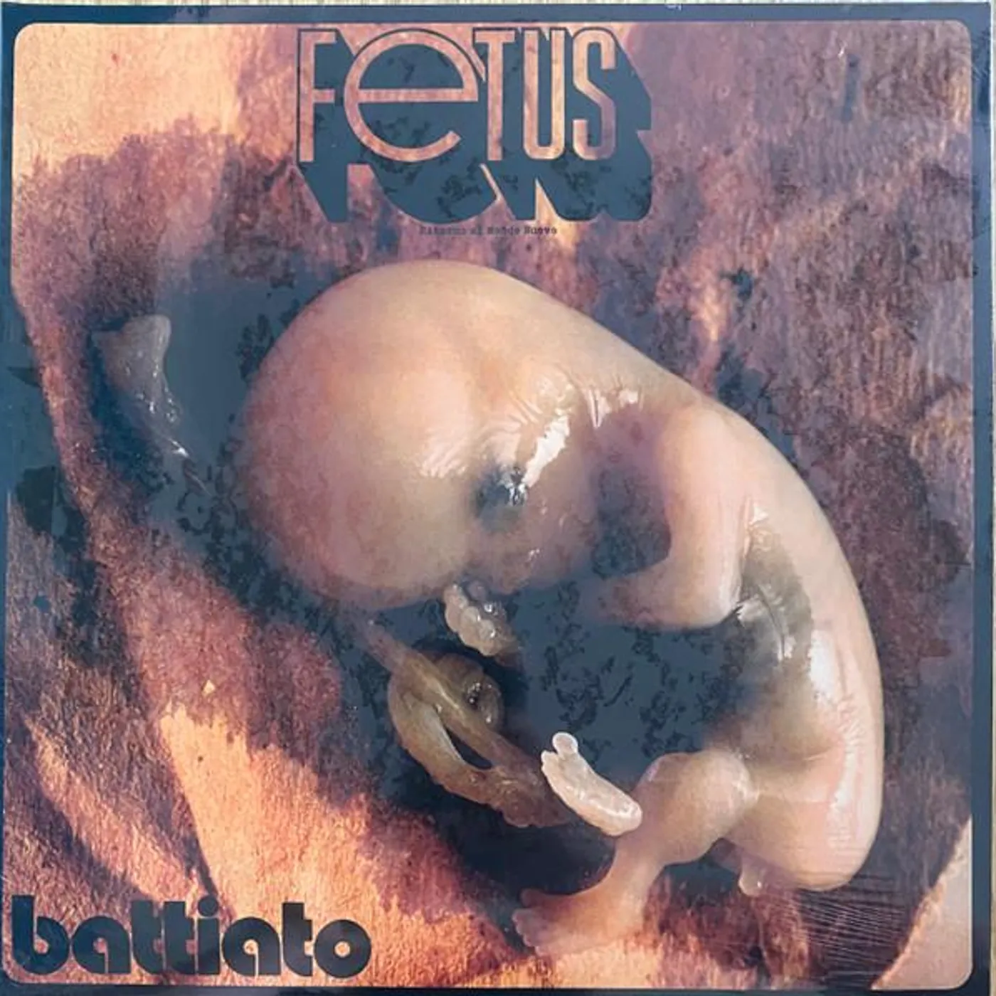 Franco Battiato FETUS Vinyl Record
