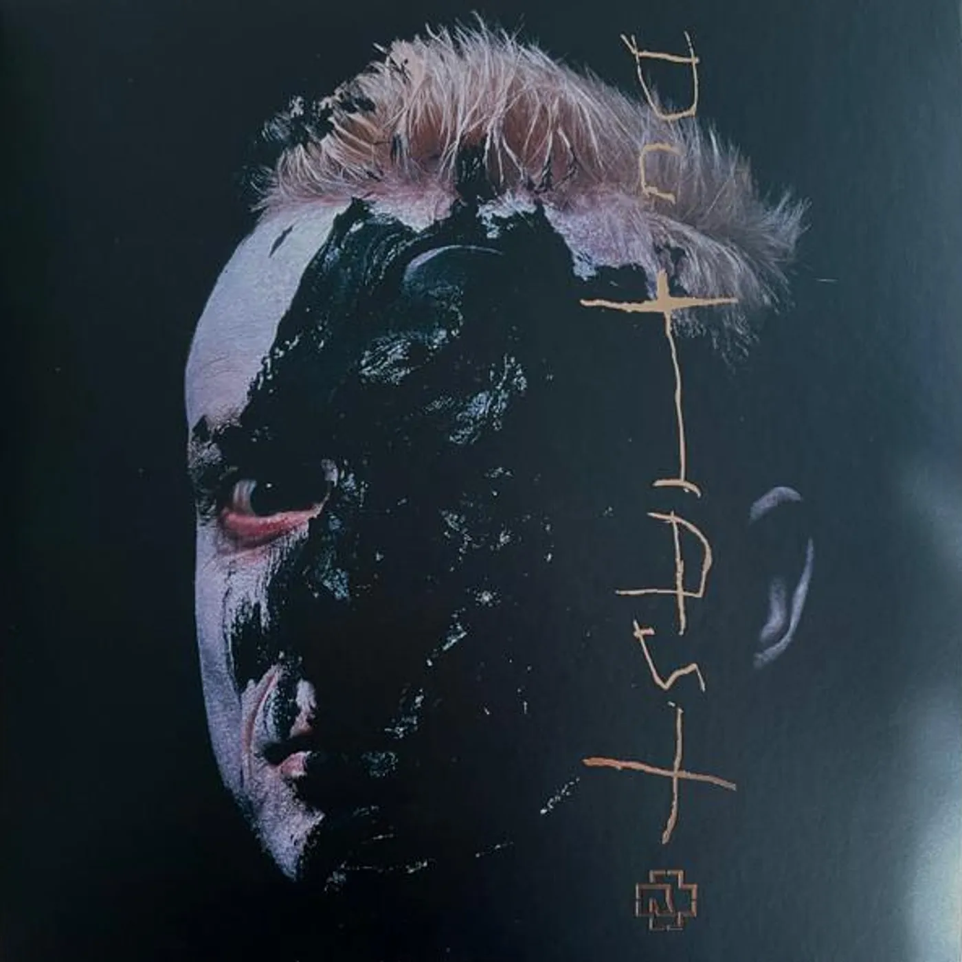 Rammstein DU HAST Vinyl Record