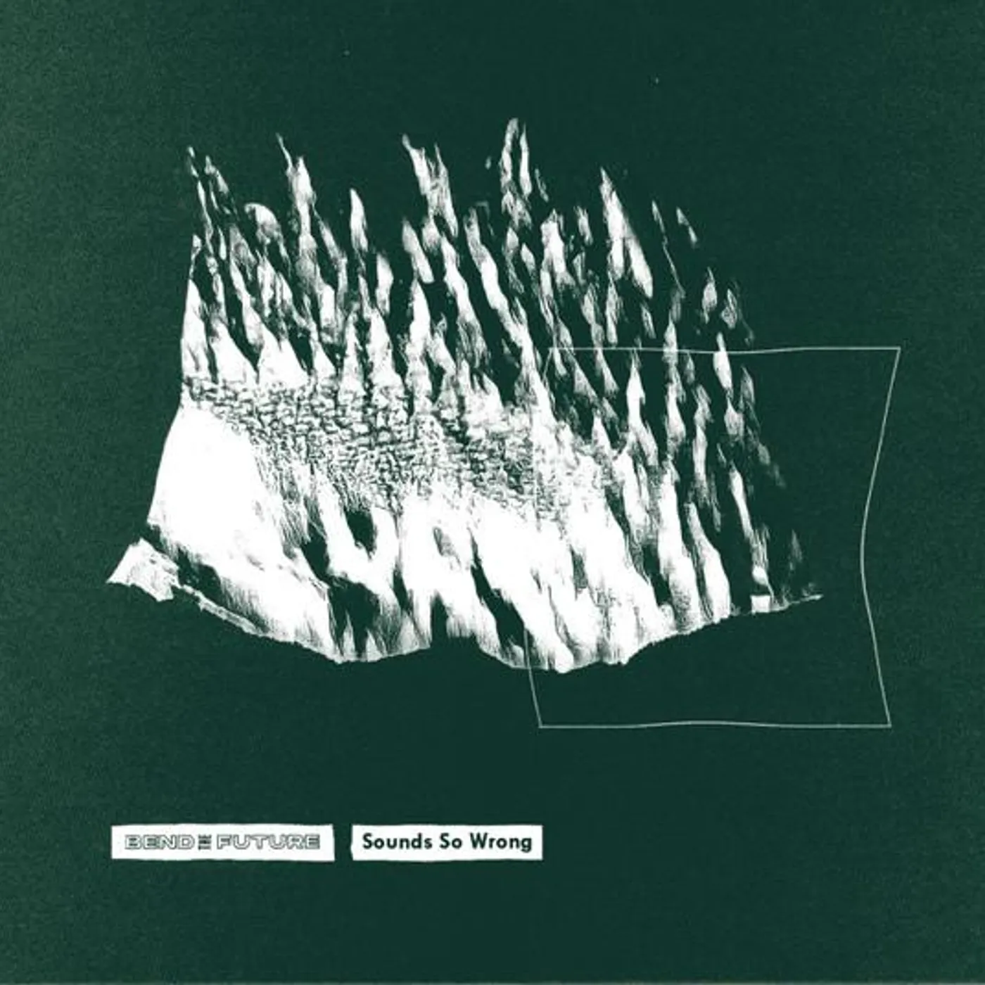 Bend the Future SOUNDS SO WRONG CD
