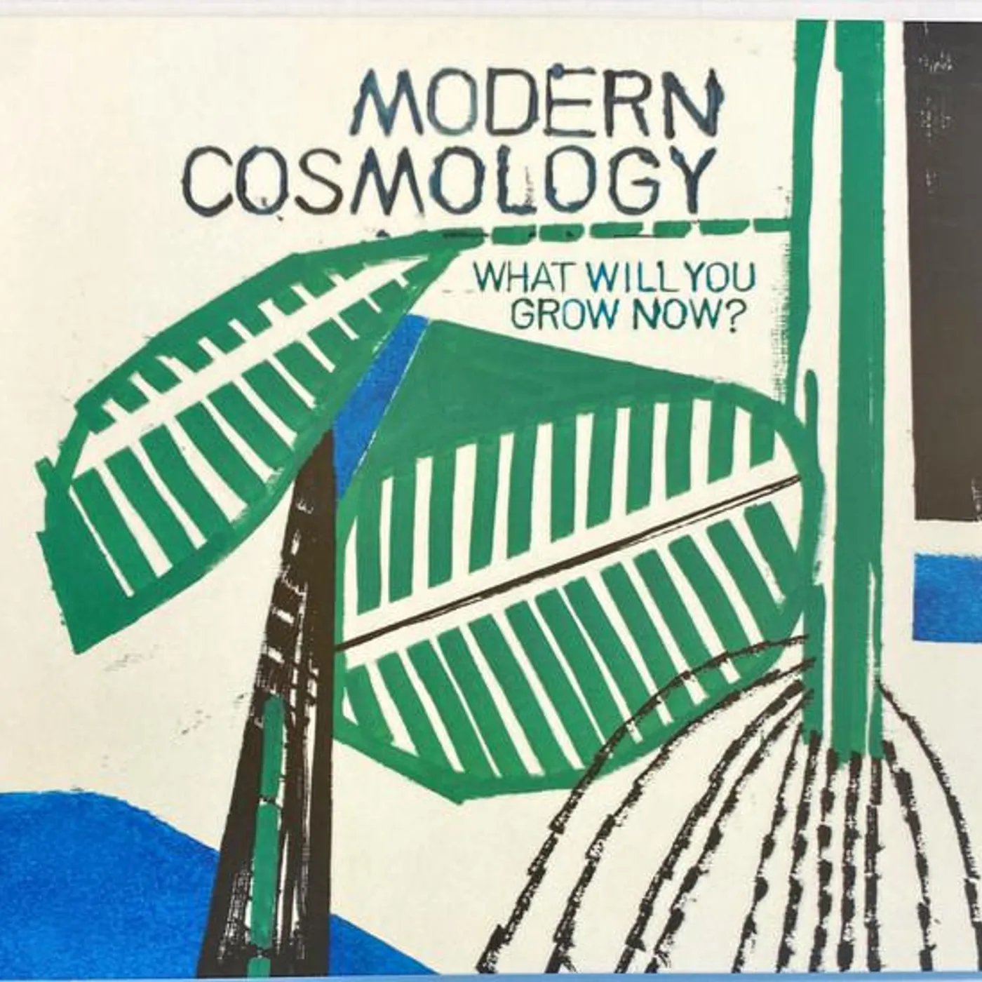Modern Cosmology WHAT WILL YOU GROW NOW? CD