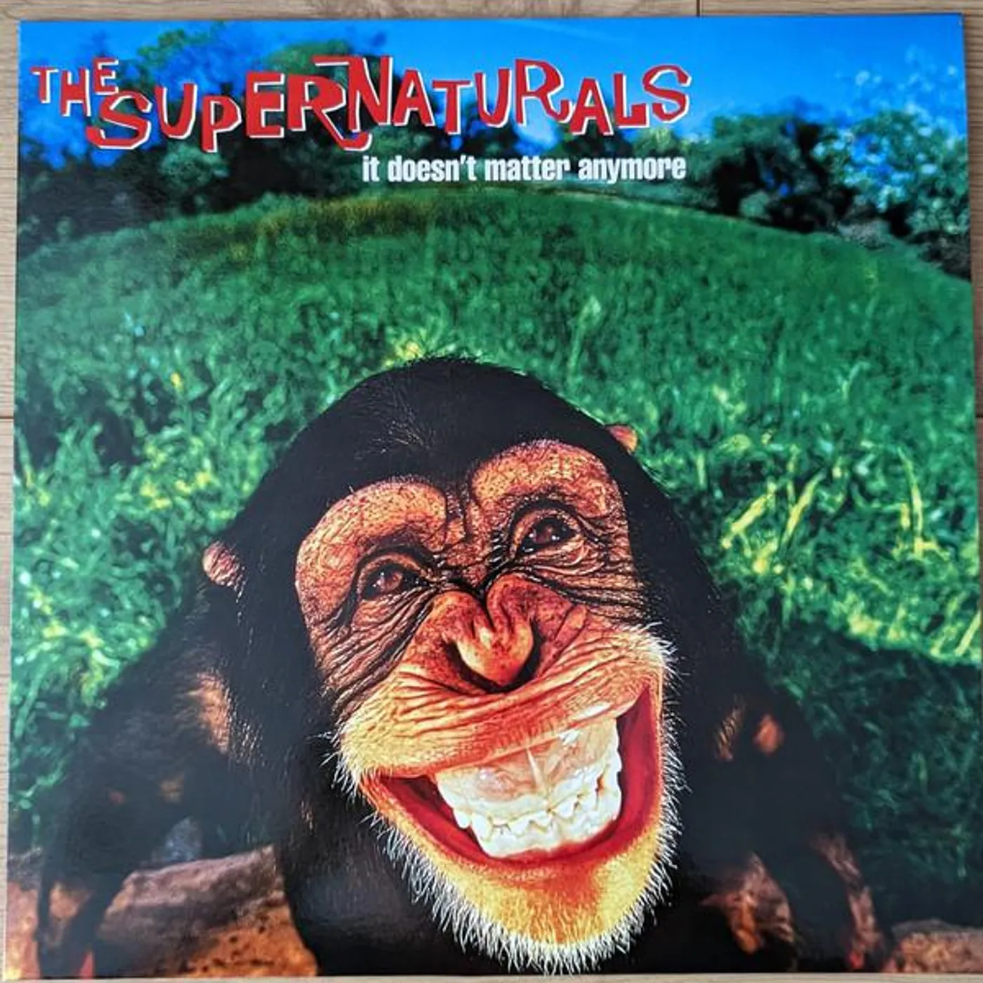 The Supernaturals IT DOESN'T MATTER ANYMORE Vinyl Record