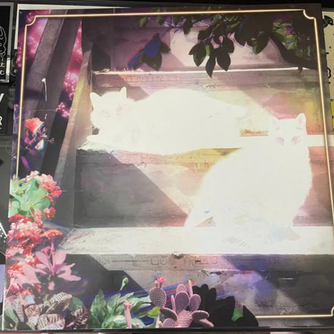 The Scary Jokes RETINAL BLOOM Vinyl Record