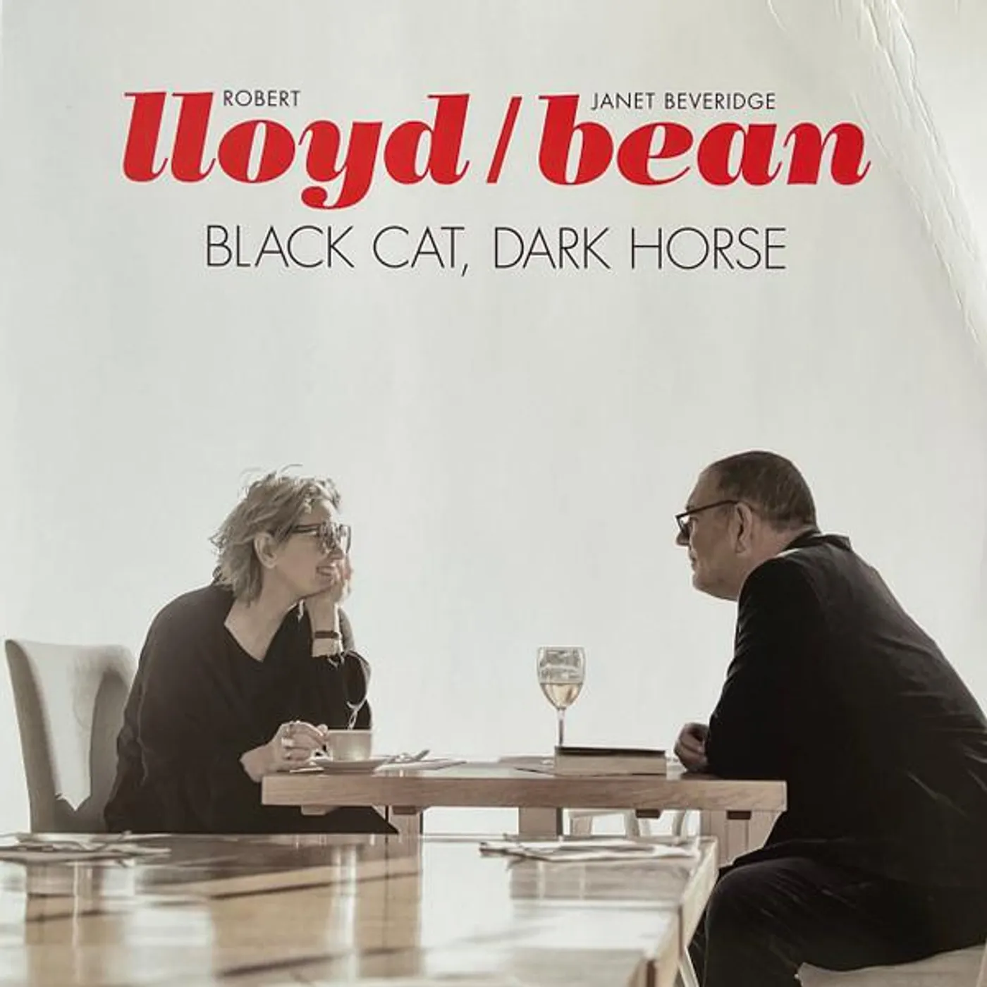 Lloyd / Bean BLACK CAT DARK HORSE Vinyl Record