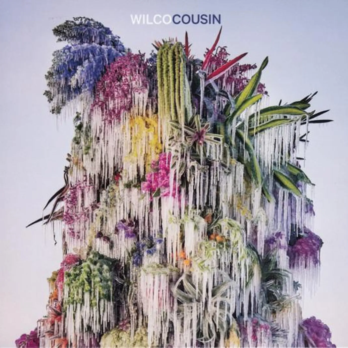 Wilco COUSIN CD