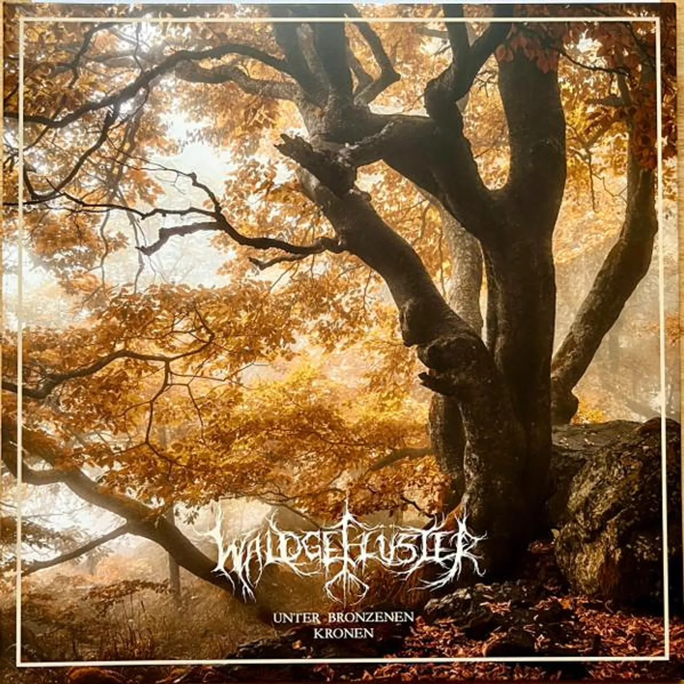 Waldgeflüster UNTER BRONZENEN KRONEN Vinyl Record